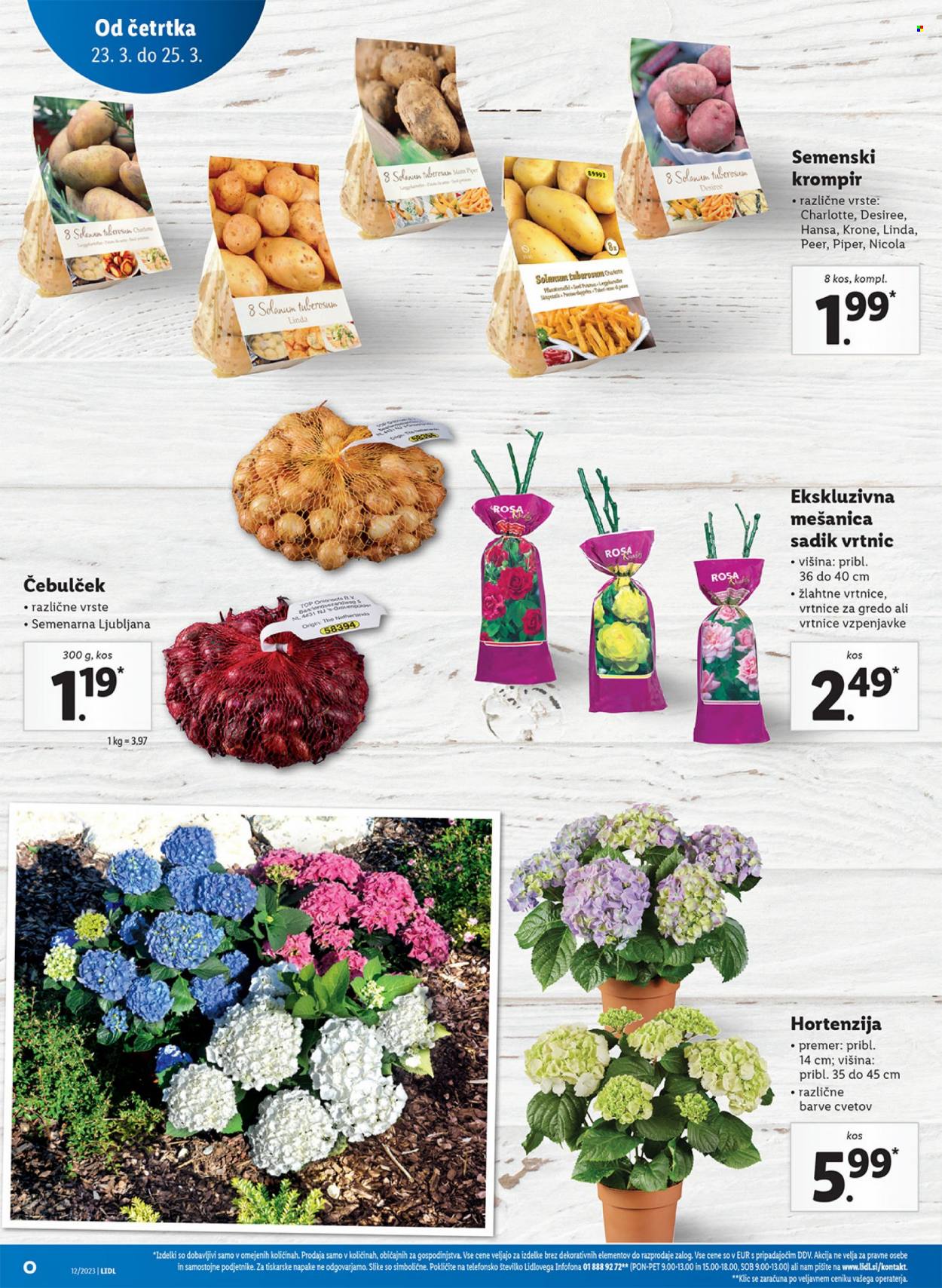 Lidl katalog - 23.3.2023 - 29.3.2023. Stran 12