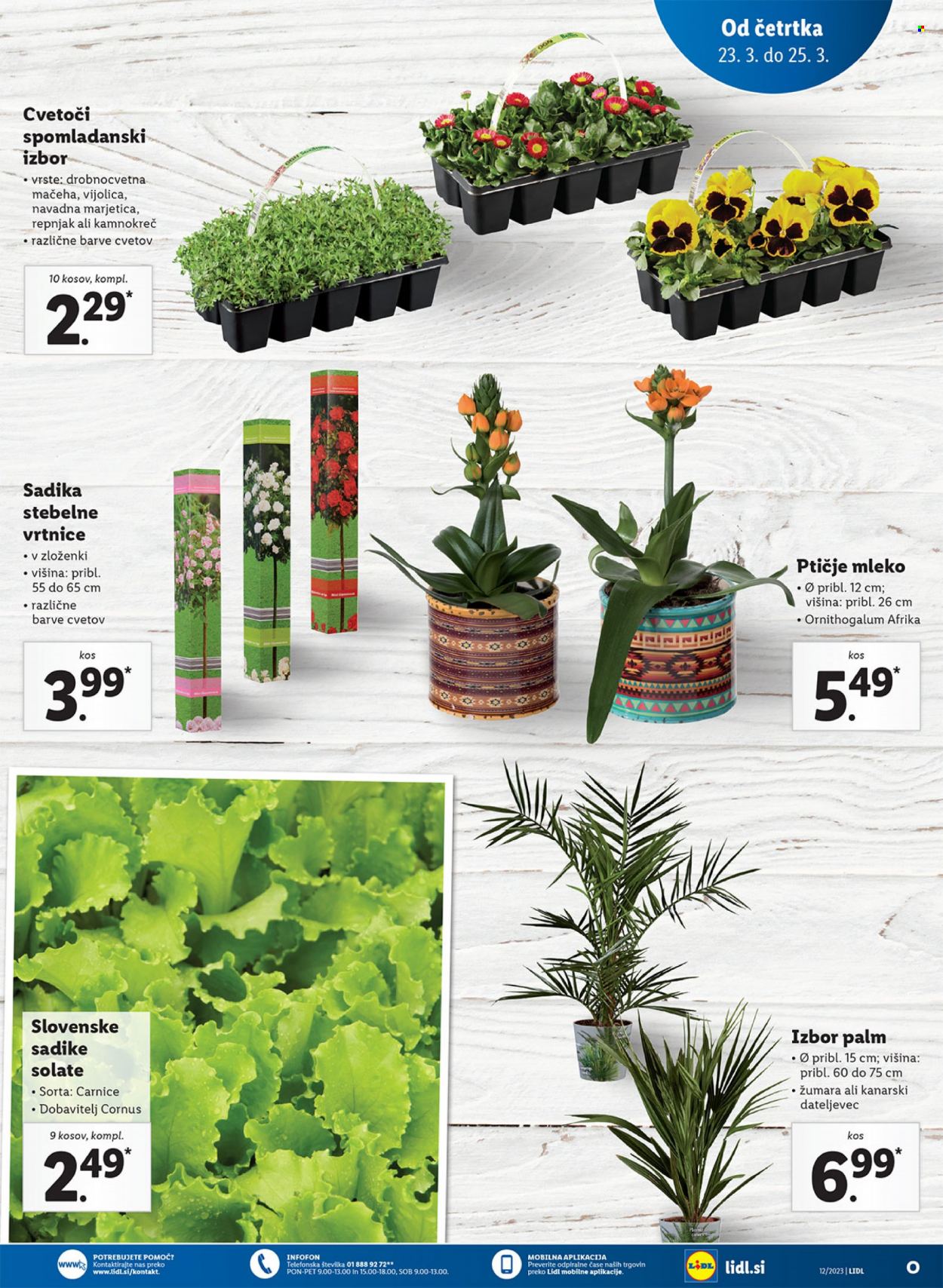 Lidl katalog - 23.3.2023 - 29.3.2023. Stran 13