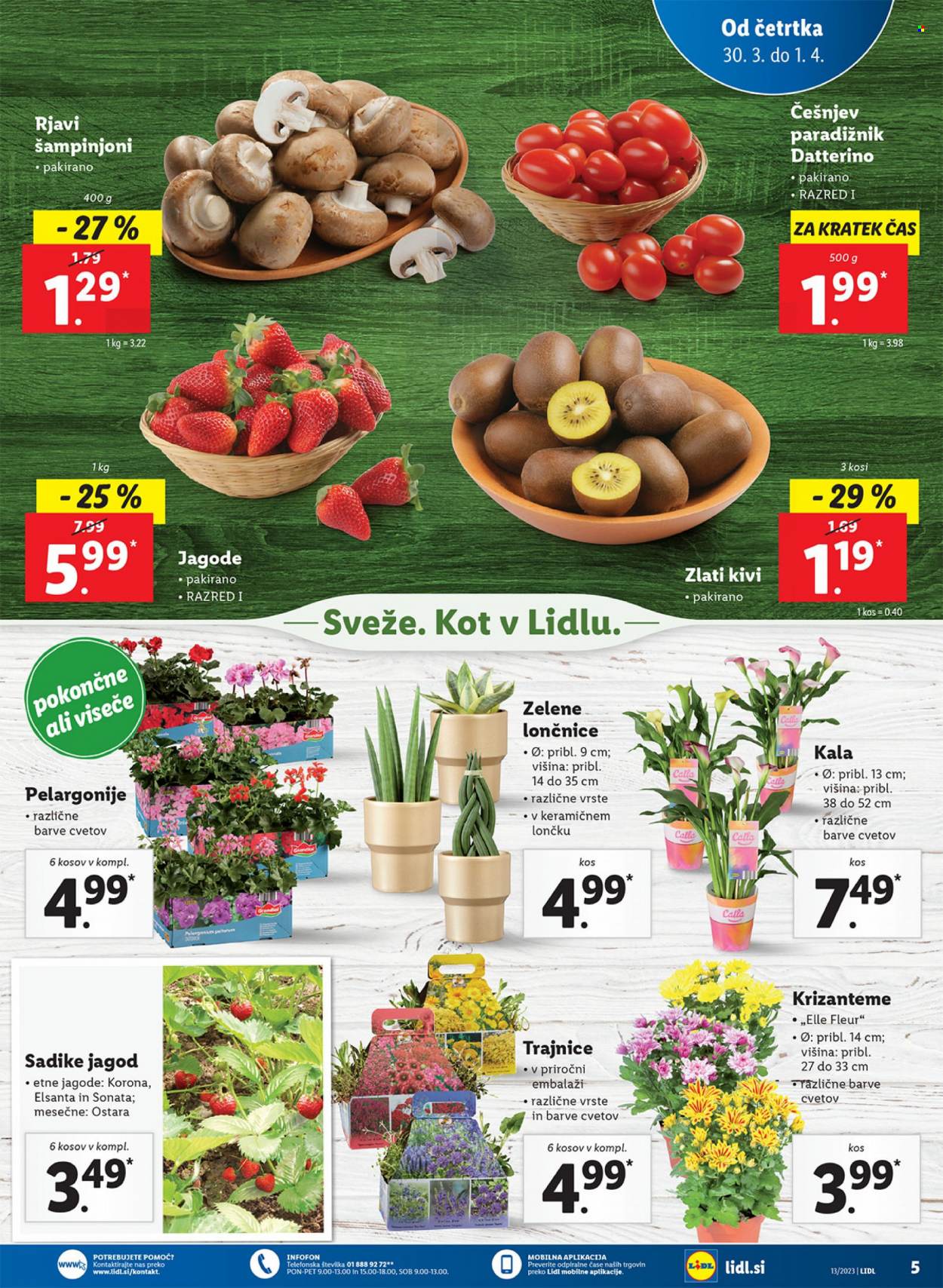 Lidl katalog - 30.3.2023 - 5.4.2023. Stran 5