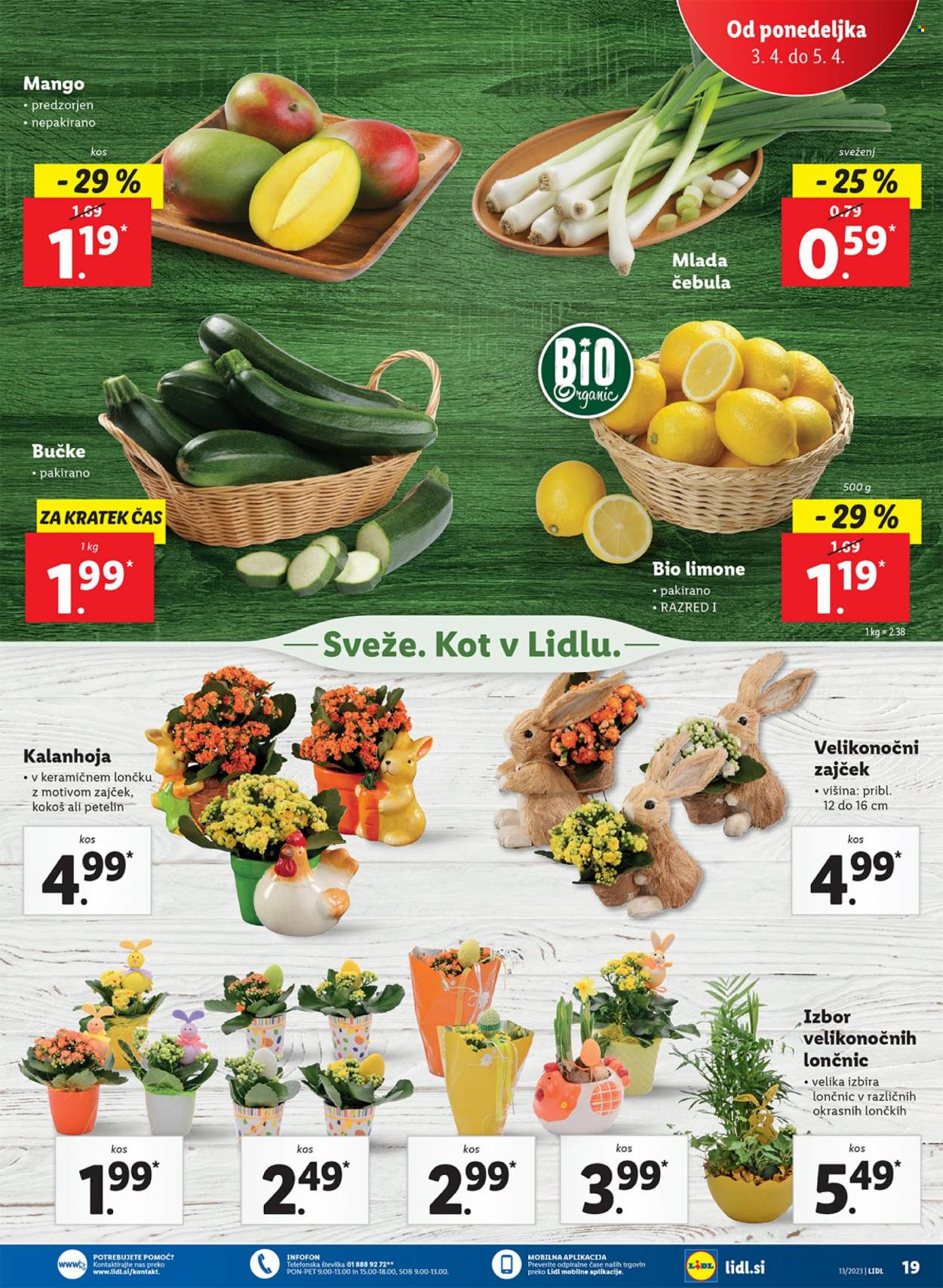 Lidl katalog - 30.3.2023 - 5.4.2023. Stran 37