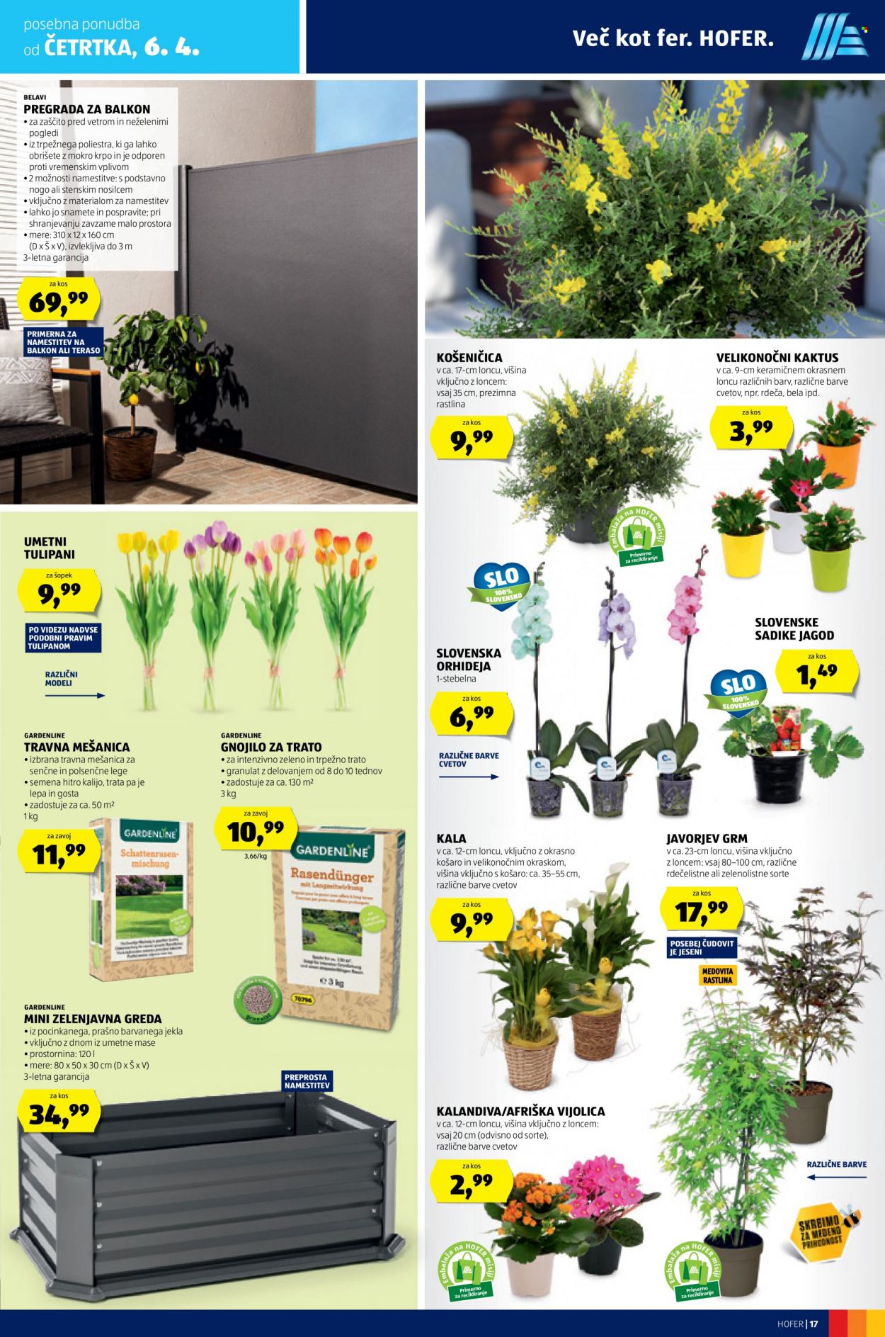 Hofer katalog - 30.3.2023 - 8.4.2023. Stran 17