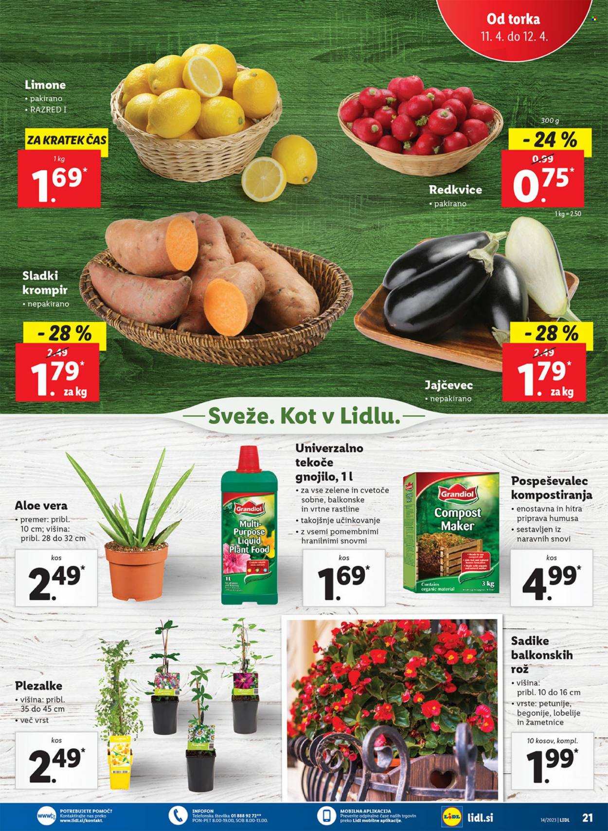 Lidl katalog - 6.4.2023 - 12.4.2023. Stran 41