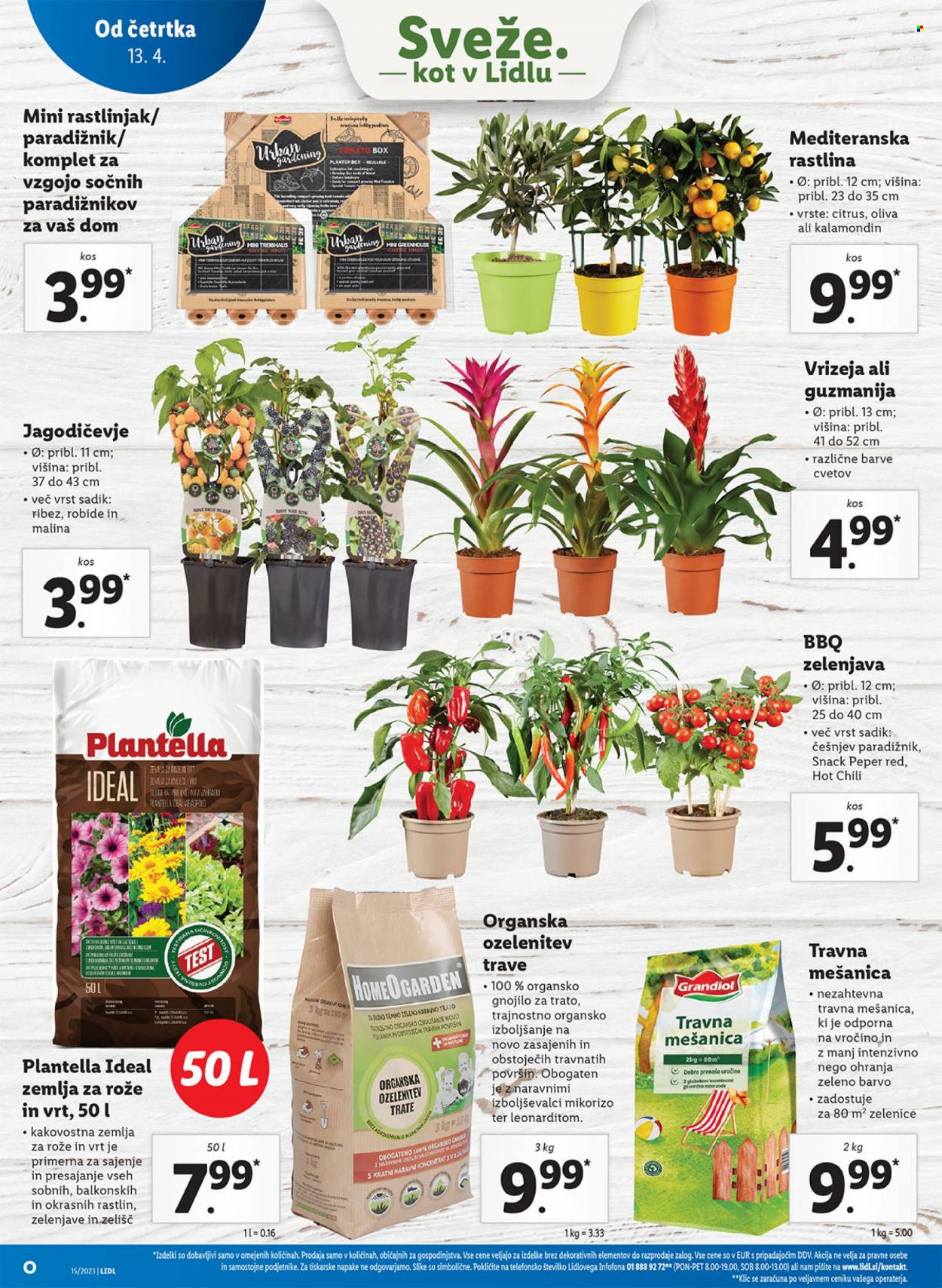 Lidl katalog - 13.4.2023 - 19.4.2023. Stran 36