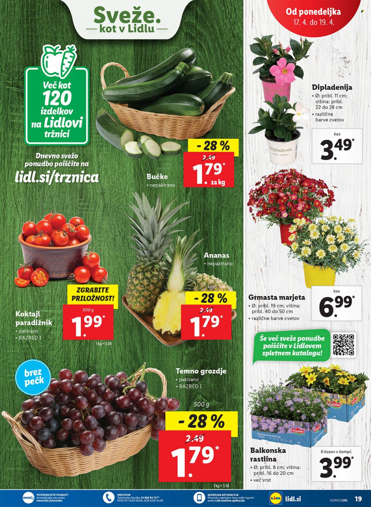 Lidl katalog - 13.4.2023 - 19.4.2023. Stran 39