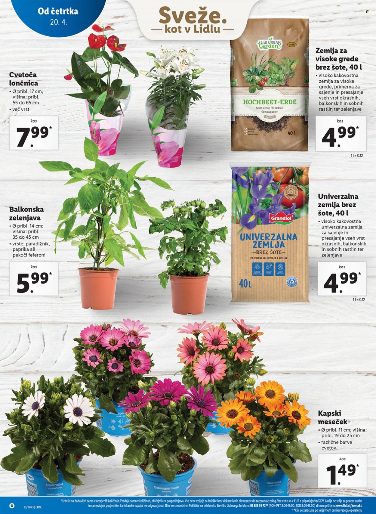 Lidl katalog - 20.4.2023 - 26.4.2023. Stran 30