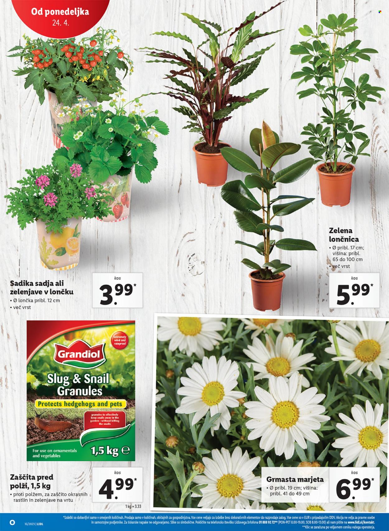 Lidl katalog - 20.4.2023 - 26.4.2023. Stran 38