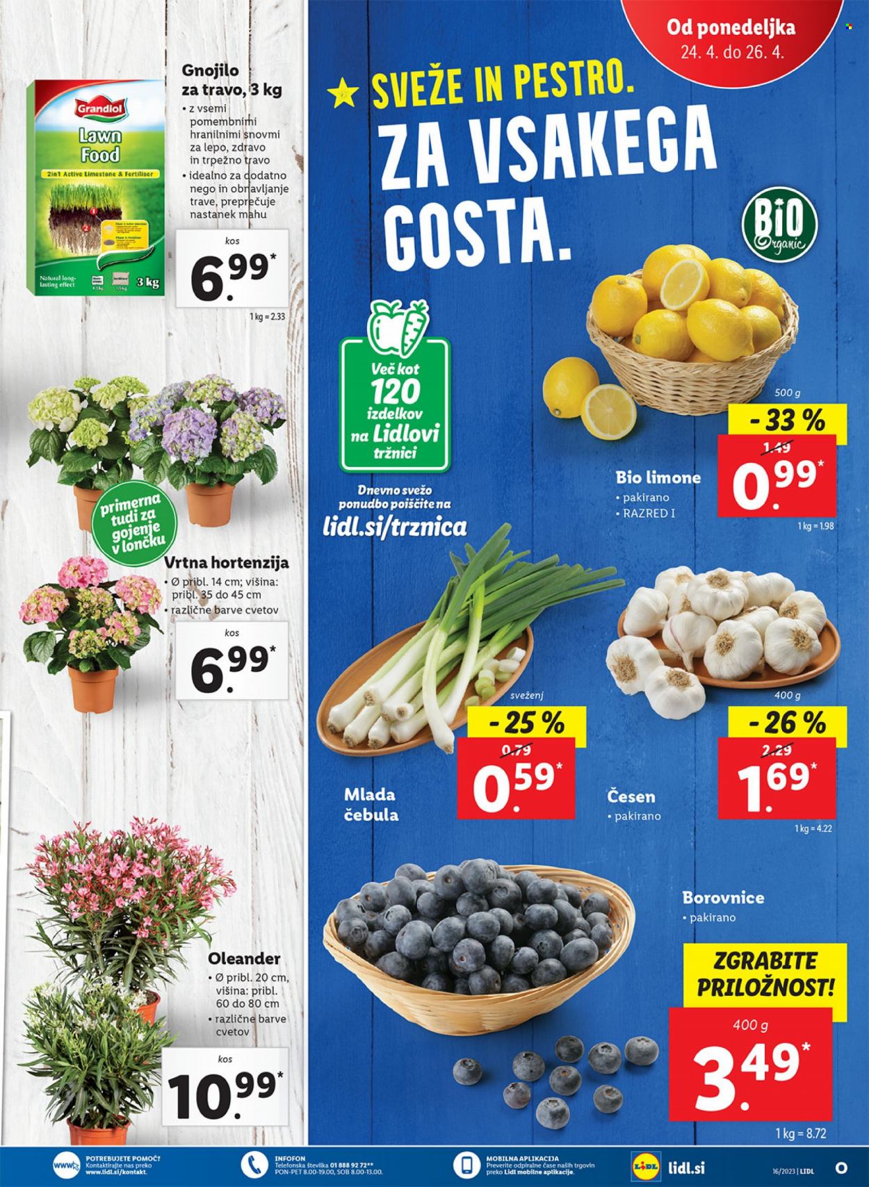 Lidl katalog - 20.4.2023 - 26.4.2023. Stran 39