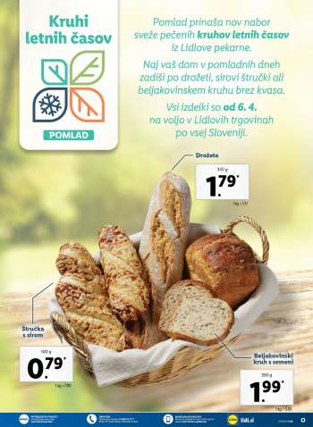 Lidl katalog