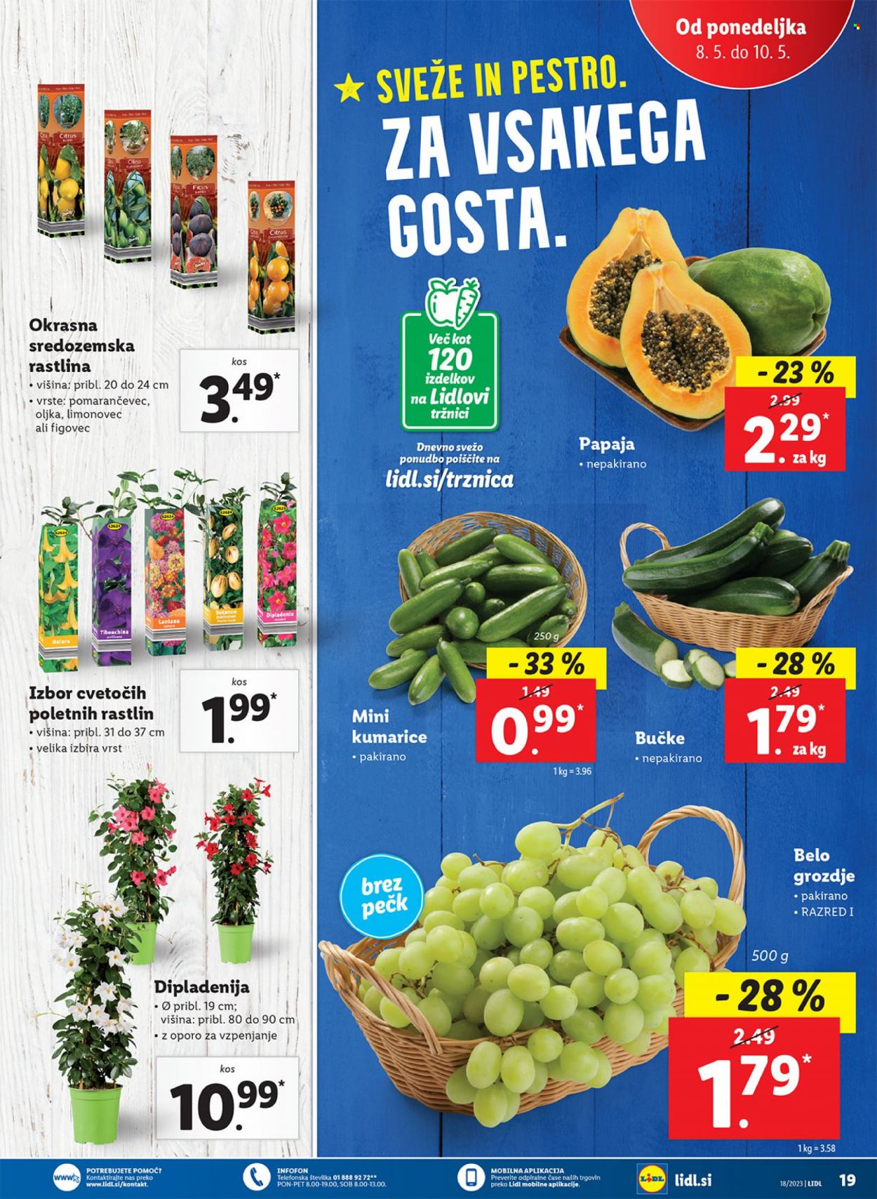 Lidl katalog - 4.5.2023 - 10.5.2023. Stran 35