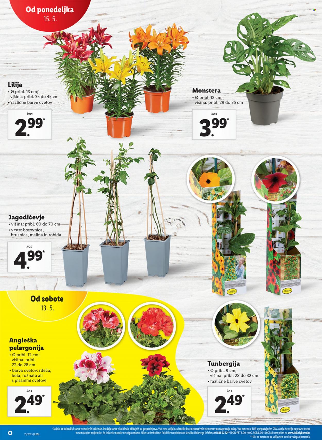 Lidl katalog - 11.5.2023 - 17.5.2023. Stran 32