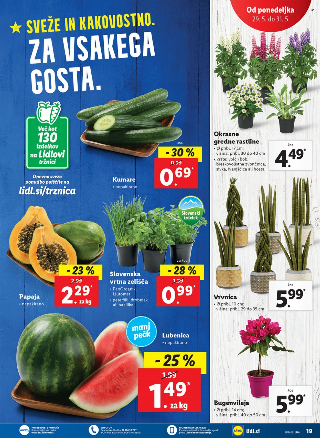 Lidl katalog - 25.5.2023 - 31.5.2023. Stran 37