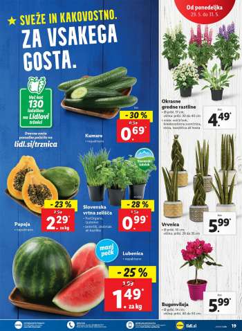 Lidl katalog