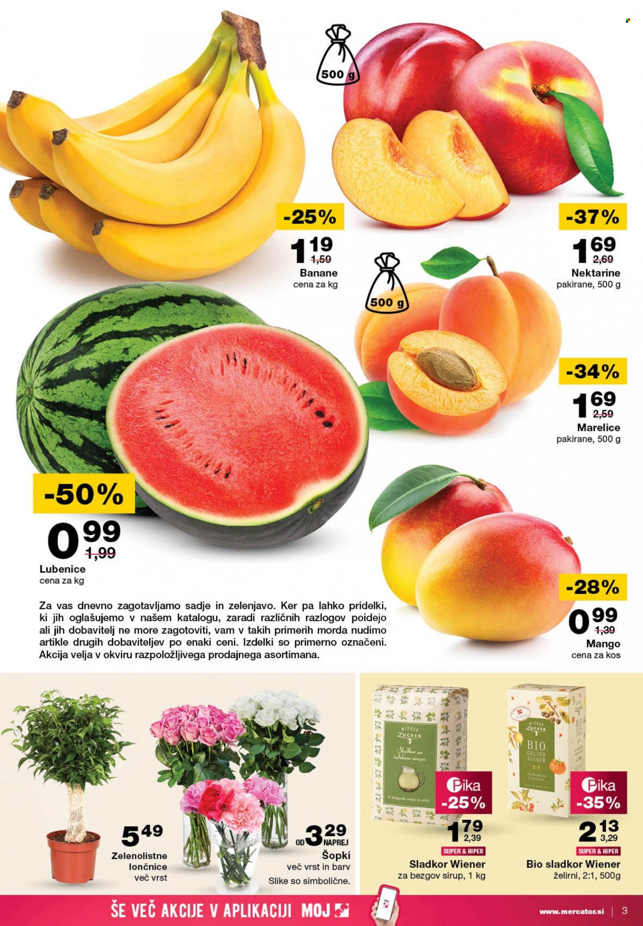 Mercator katalog - 25.5.2023 - 31.5.2023. Stran 3