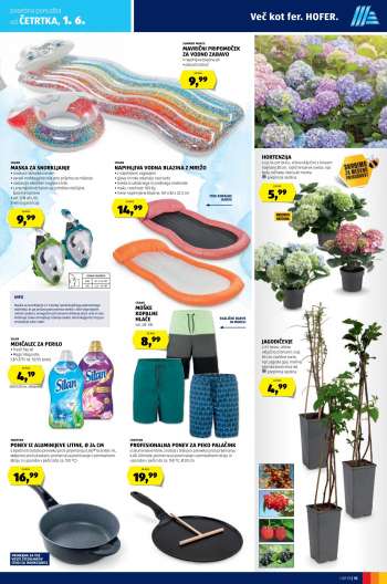 Hofer katalog