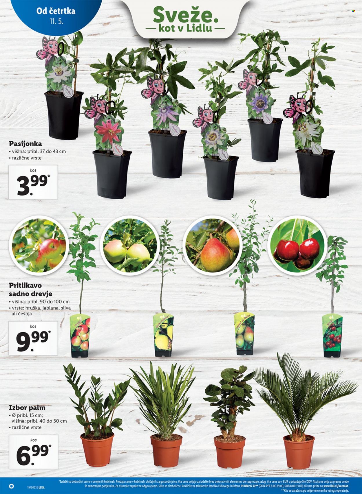 Lidl katalog. Stran 38