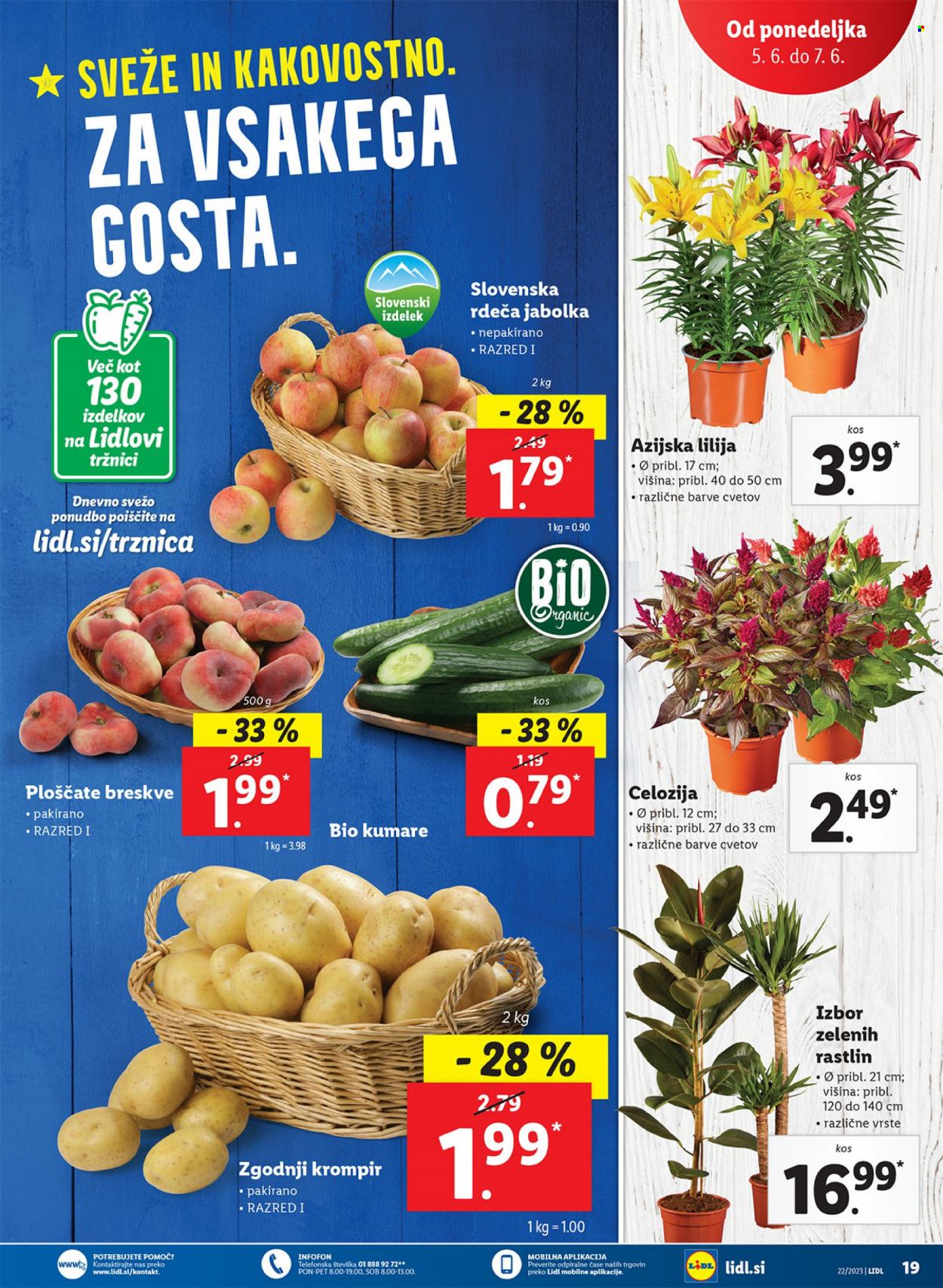Lidl katalog - 1.6.2023 - 7.6.2023. Stran 33