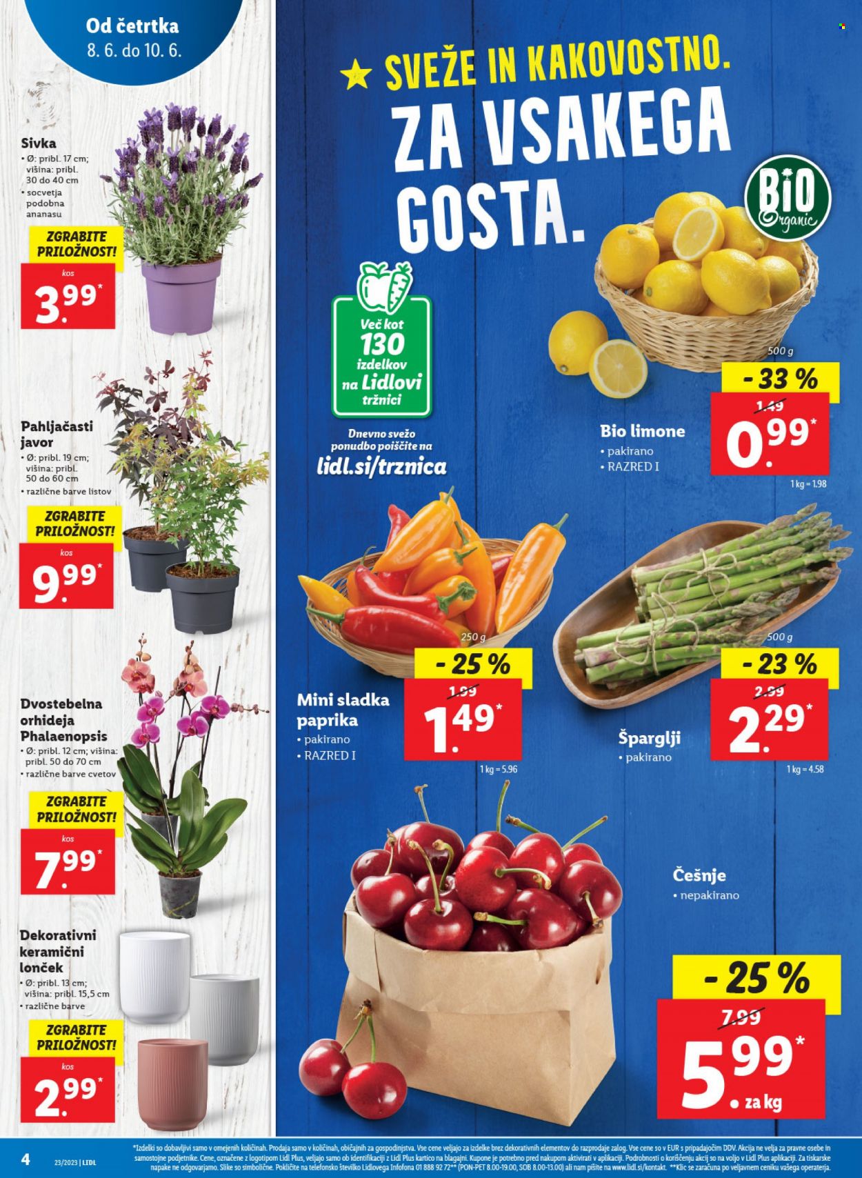Lidl katalog - 8.6.2023 - 14.6.2023. Stran 4