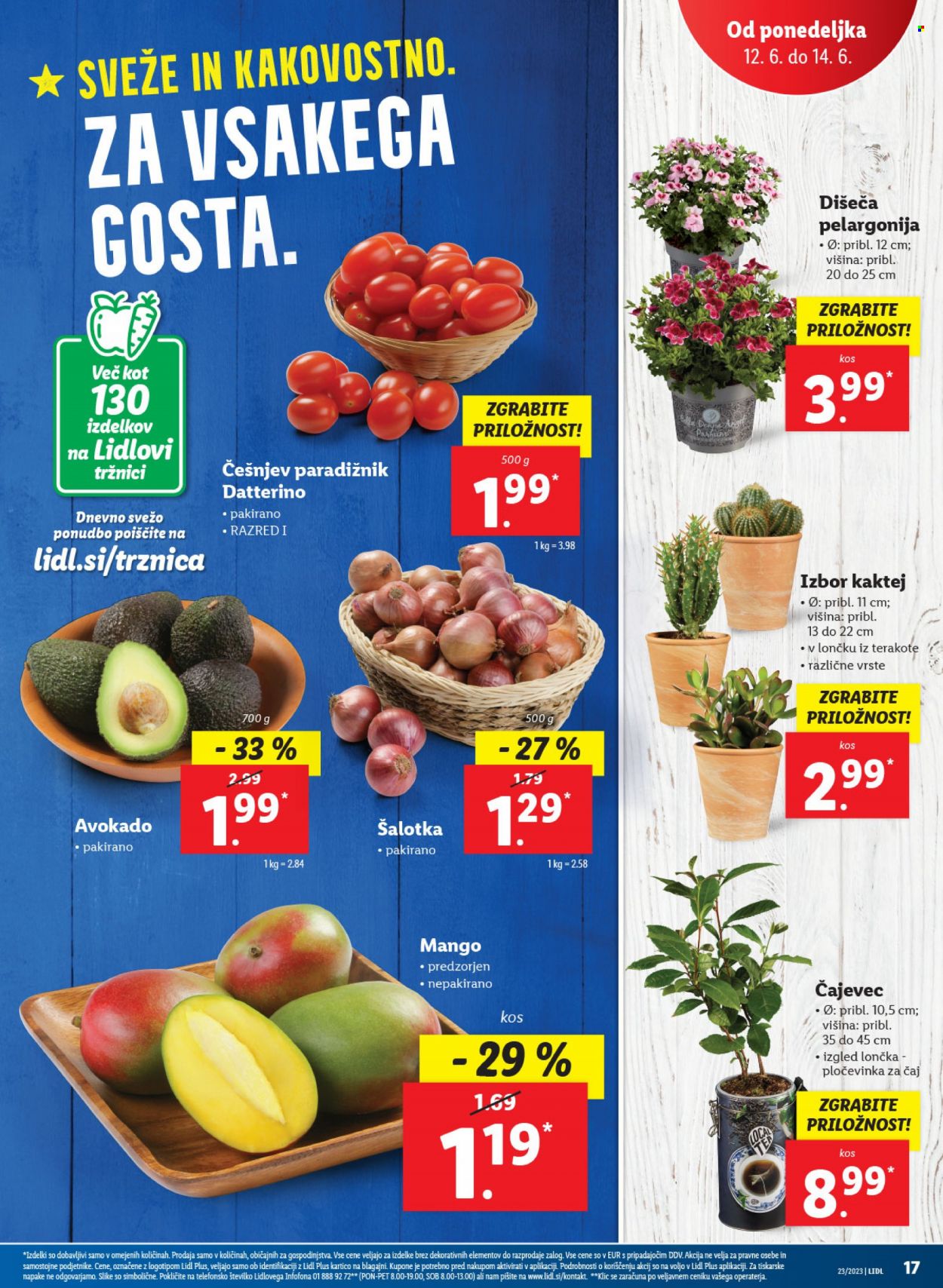 Lidl katalog - 8.6.2023 - 14.6.2023. Stran 33