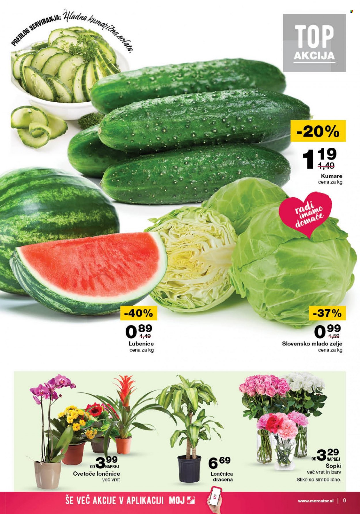 Mercator katalog - 8.6.2023 - 14.6.2023. Stran 9