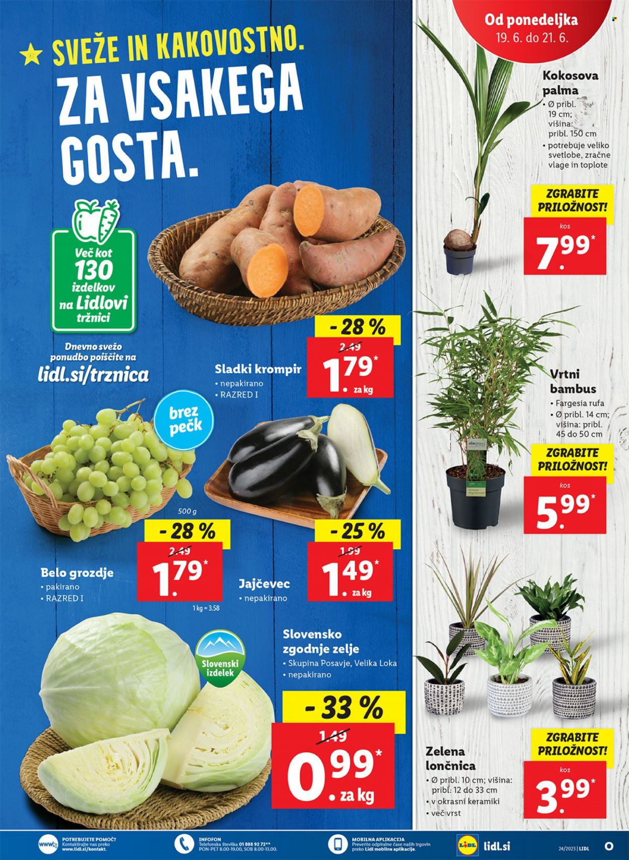 Lidl katalog - 15.6.2023 - 21.6.2023. Stran 41