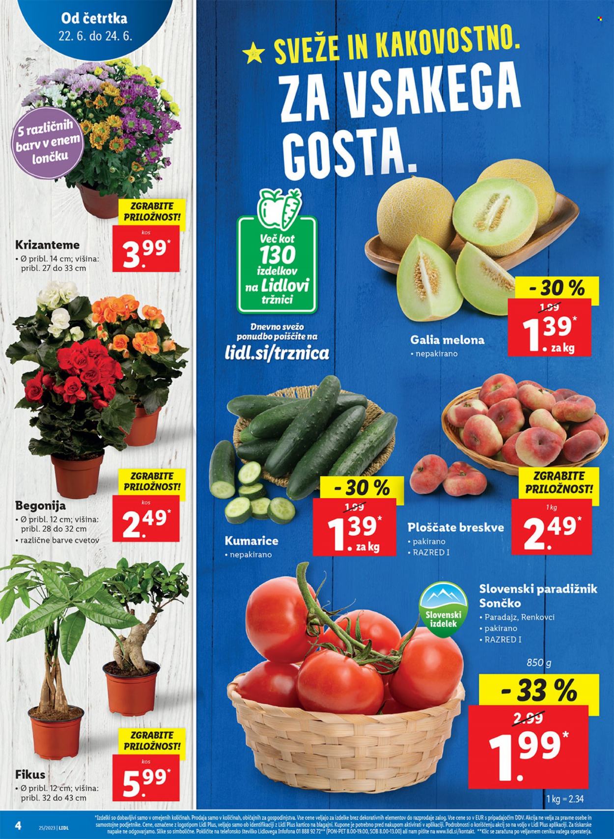 Lidl katalog - 22.6.2023 - 28.6.2023. Stran 4