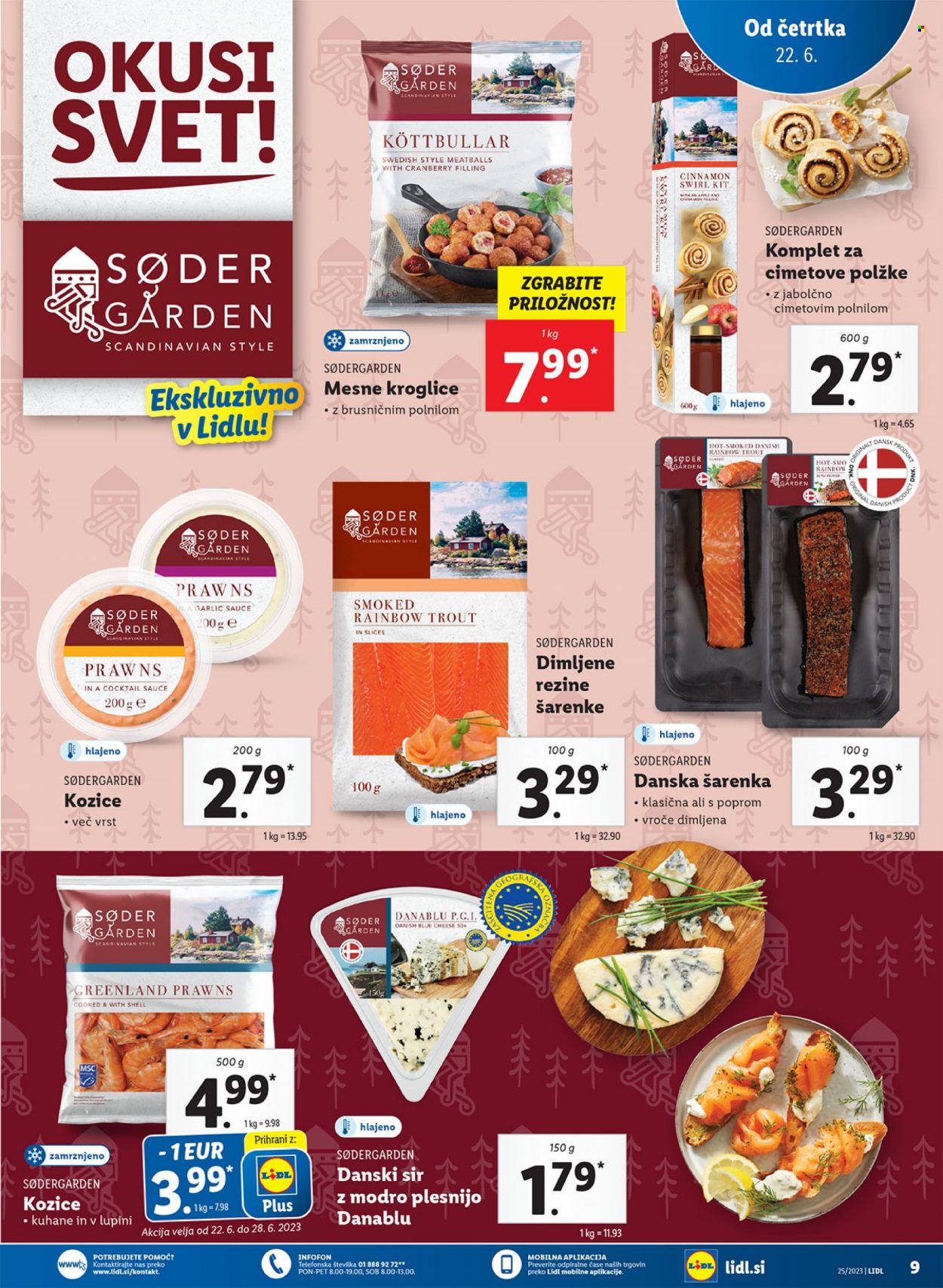 Lidl katalog - 22.6.2023 - 28.6.2023. Stran 13