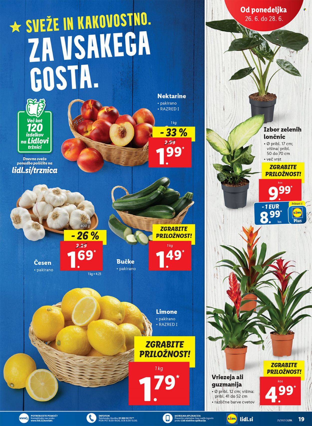 Lidl katalog - 22.6.2023 - 28.6.2023. Stran 33