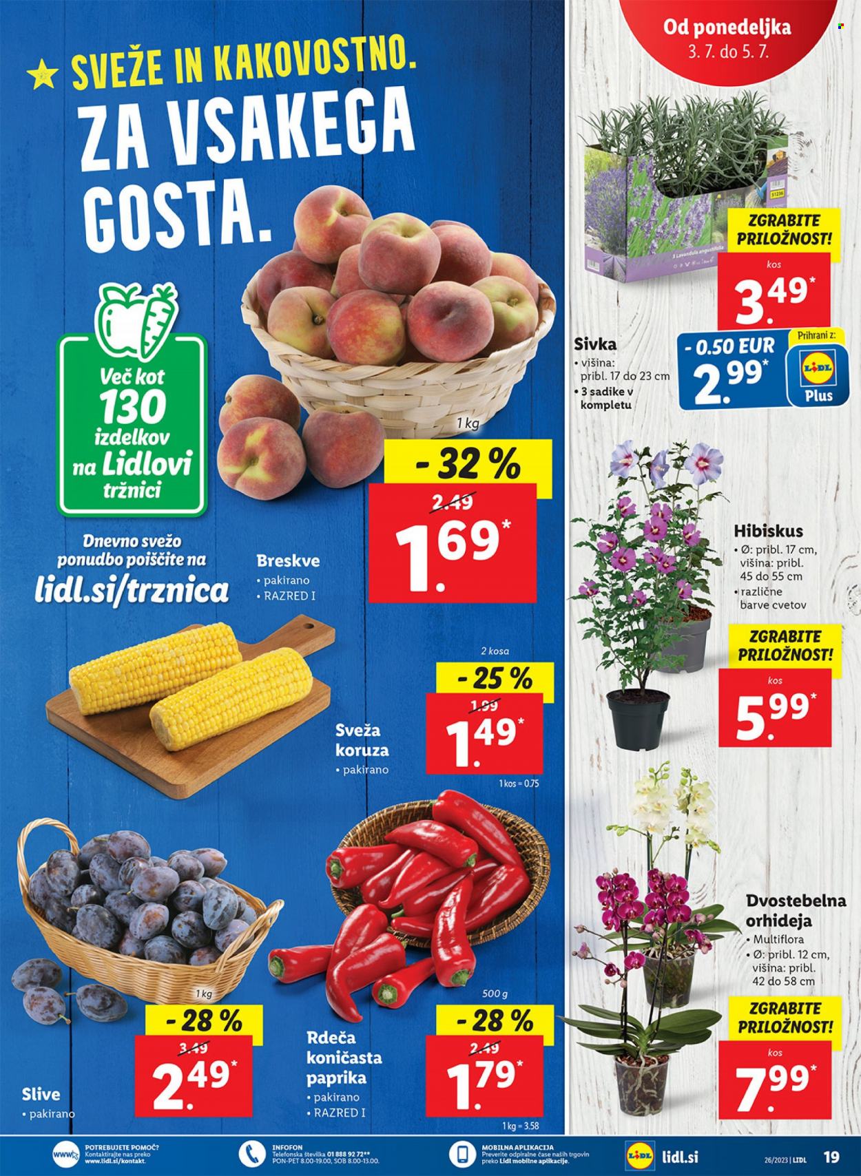 Lidl katalog - 29.6.2023 - 5.7.2023. Stran 41