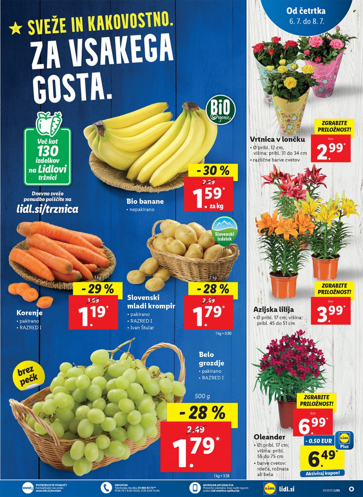 Lidl katalog - 6.7.2023 - 12.7.2023. Stran 11