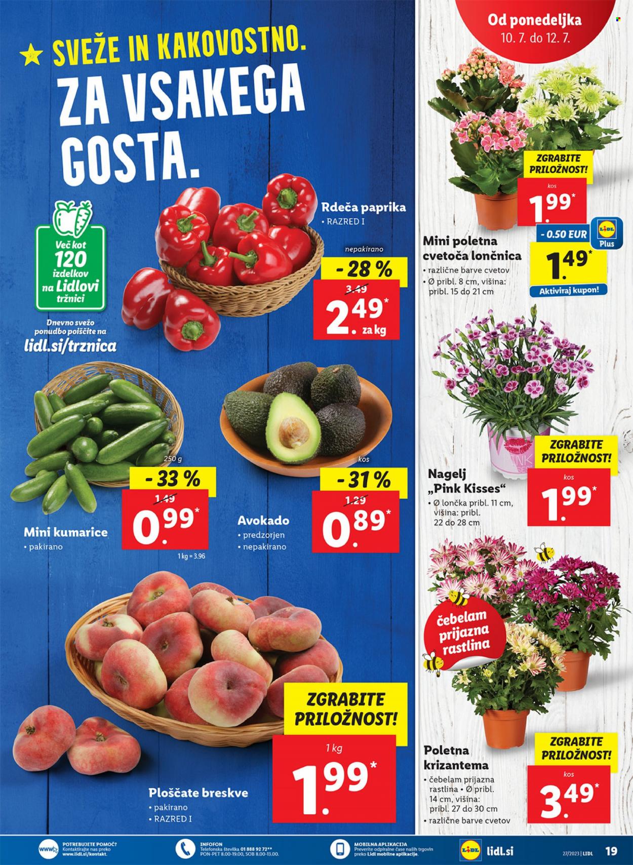 Lidl katalog - 6.7.2023 - 12.7.2023. Stran 33