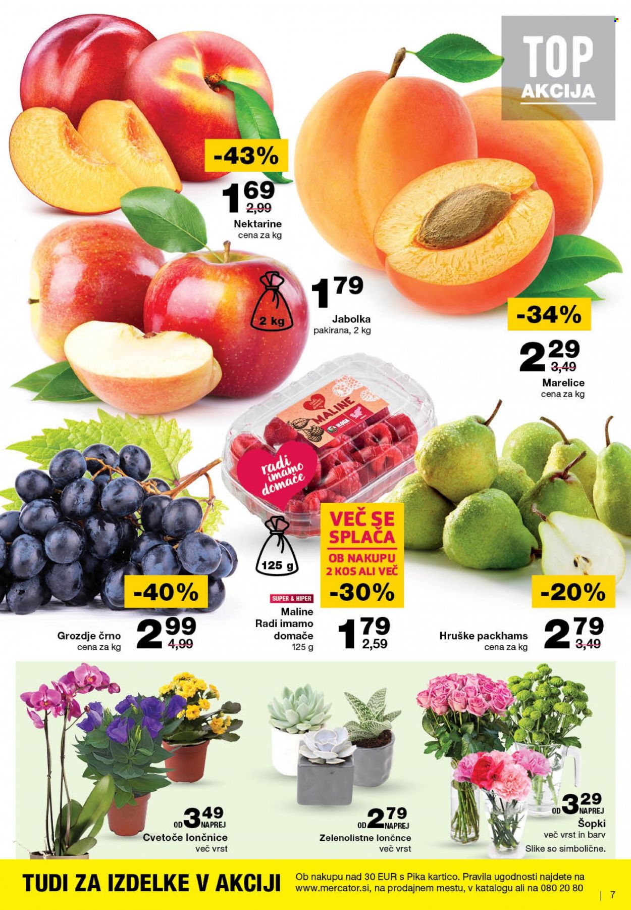 Mercator katalog - 6.7.2023 - 12.7.2023. Stran 9