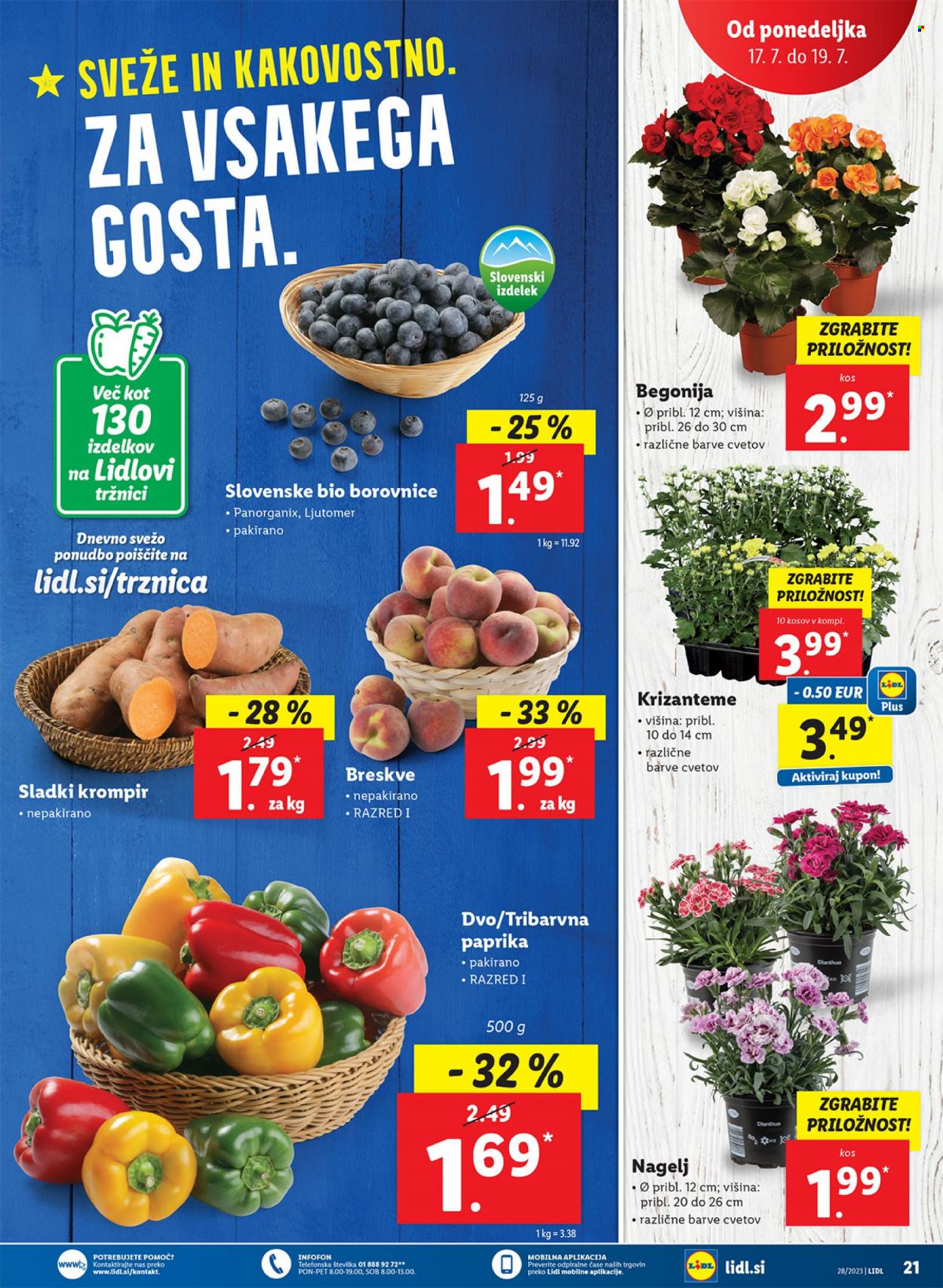 Lidl katalog - 13.7.2023 - 19.7.2023. Stran 37