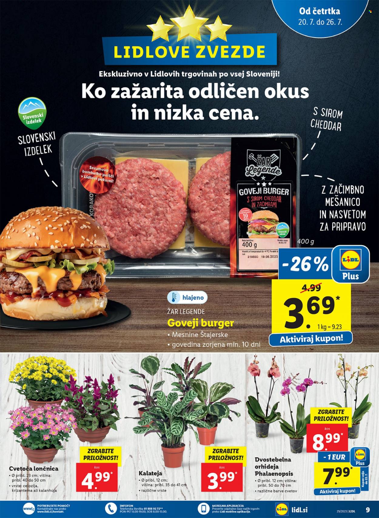 Lidl katalog - 20.7.2023 - 26.7.2023. Stran 19
