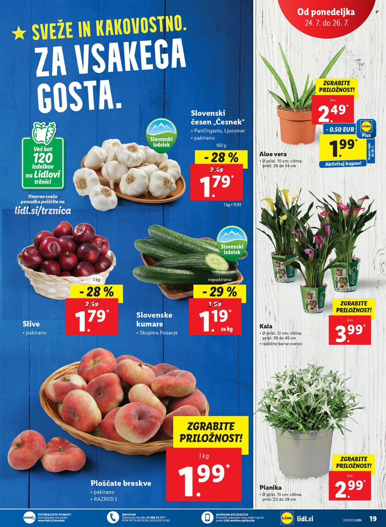 Lidl katalog - 20.7.2023 - 26.7.2023. Stran 39