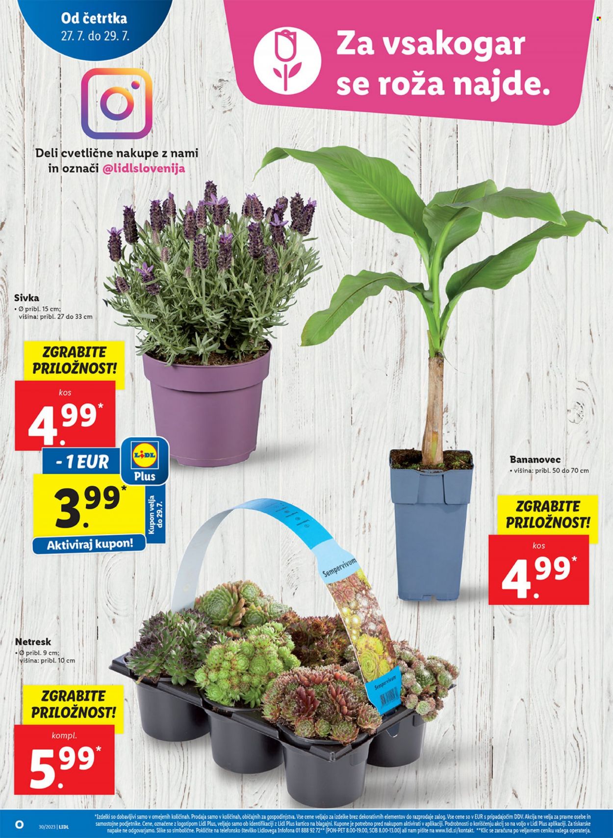 Lidl katalog - 27.7.2023 - 2.8.2023. Stran 16