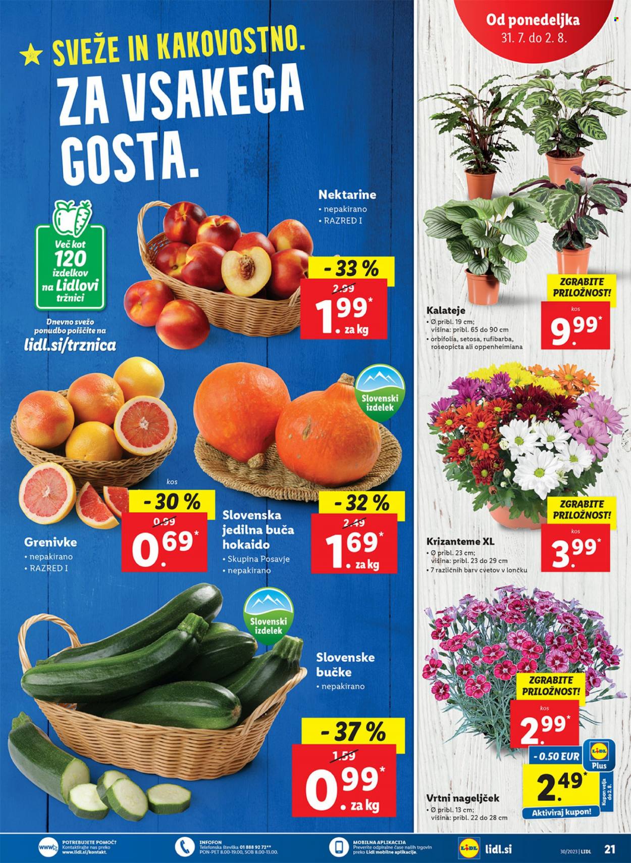 Lidl katalog - 27.7.2023 - 2.8.2023. Stran 43
