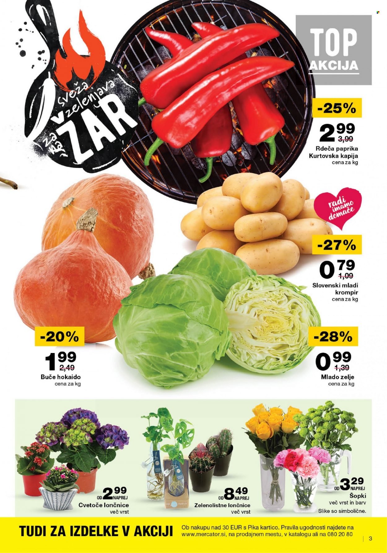 Mercator katalog - 27.7.2023 - 2.8.2023. Stran 3