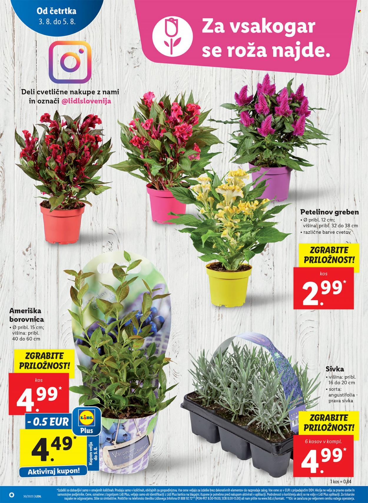 Lidl katalog - 3.8.2023 - 9.8.2023. Stran 14