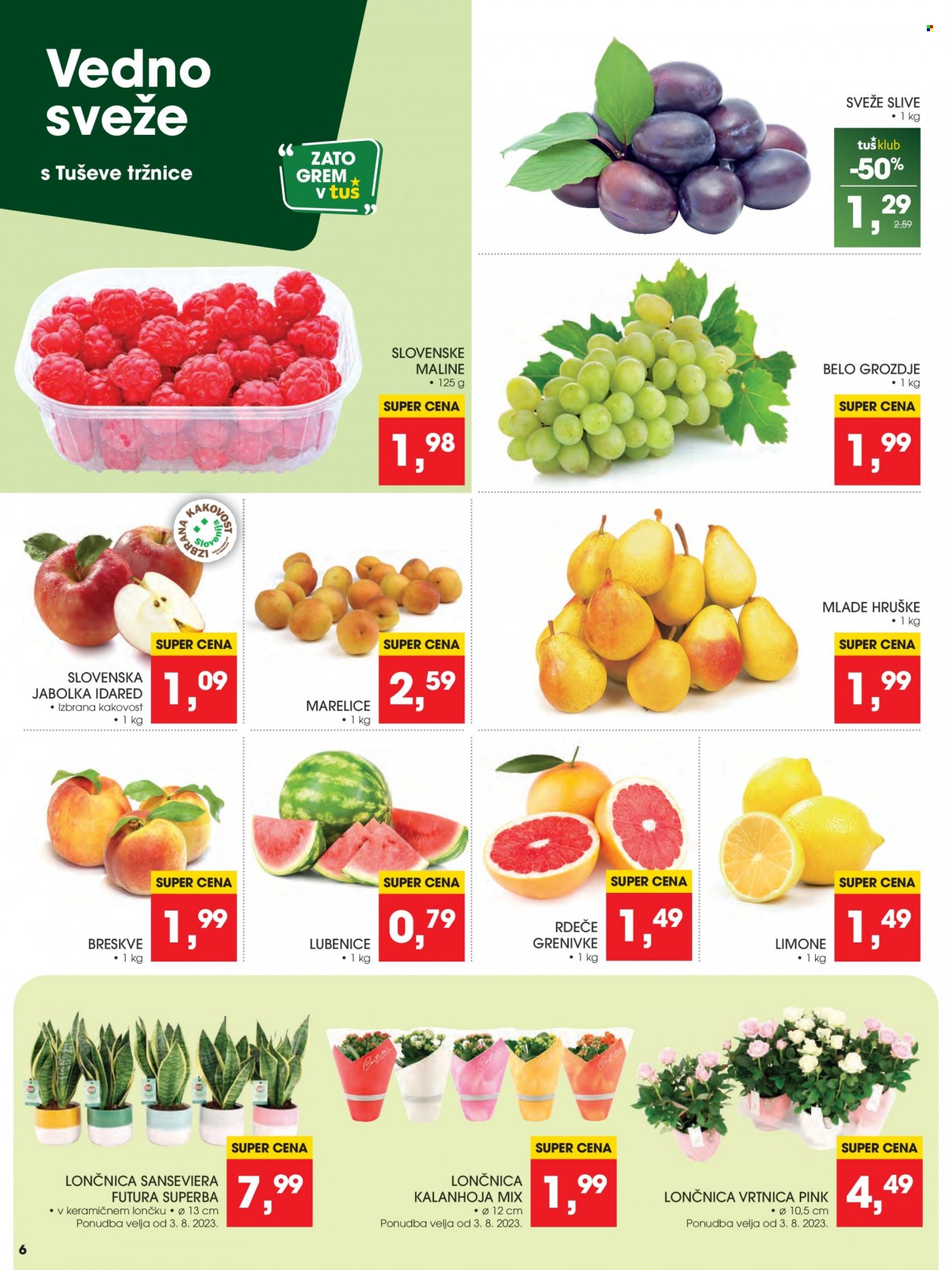 Tuš katalog - 2.8.2023 - 8.8.2023. Stran 6