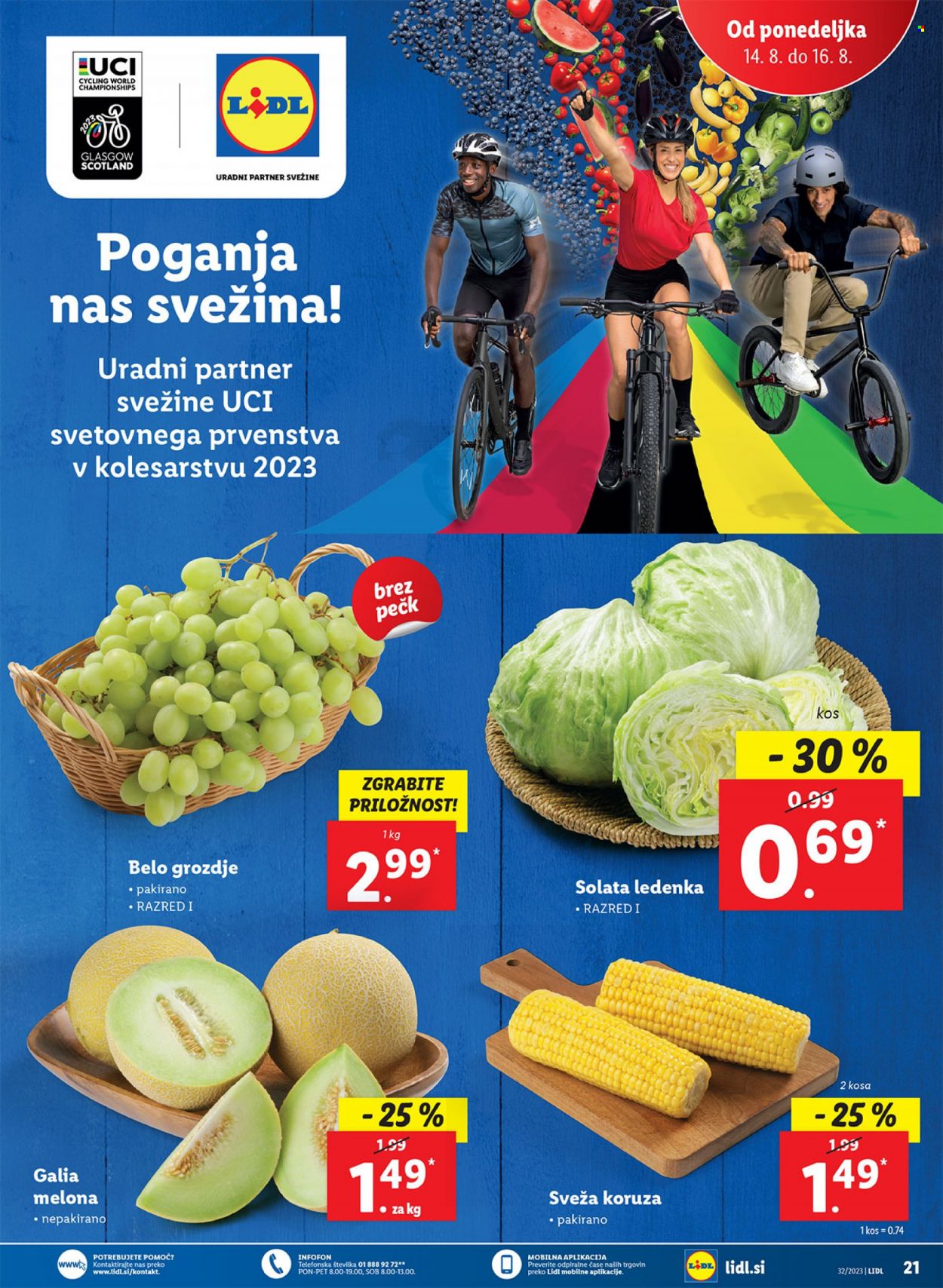 Lidl katalog - 10.8.2023 - 16.8.2023. Stran 39