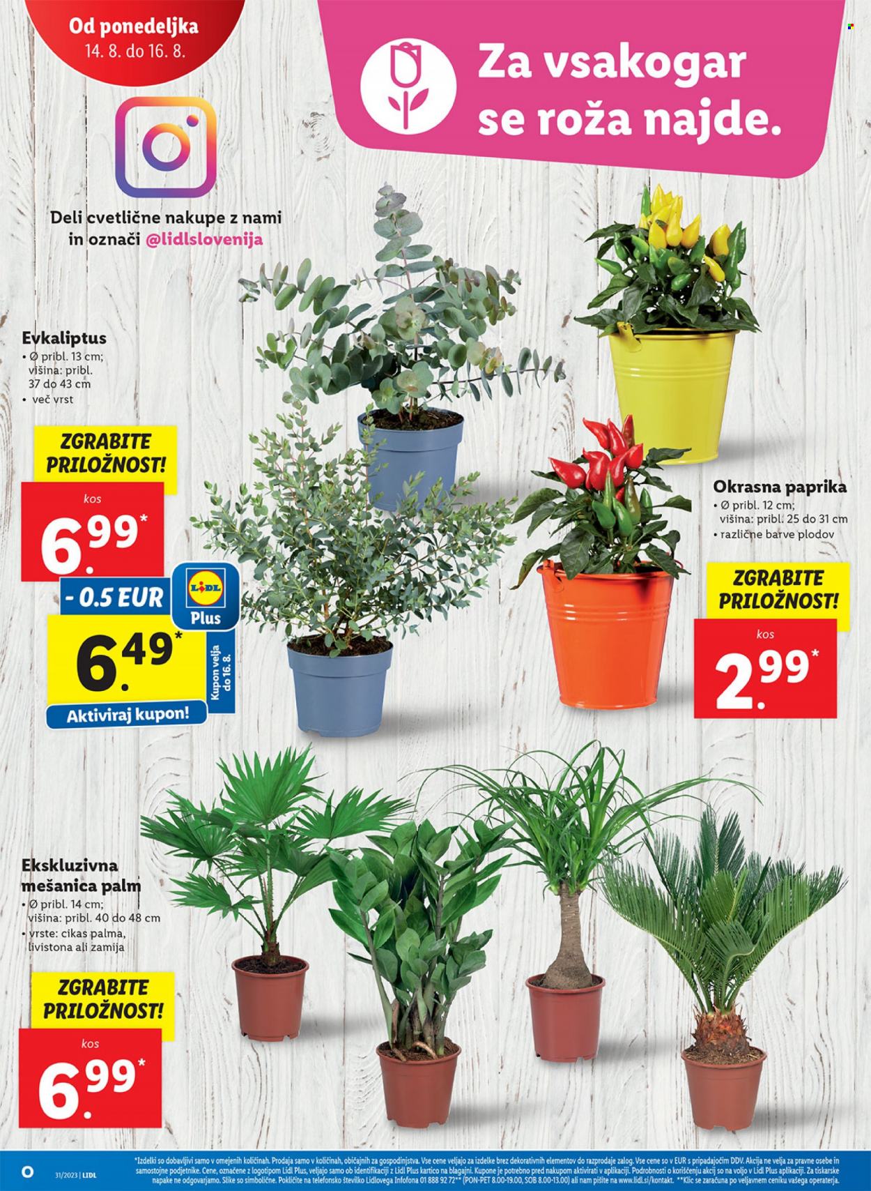 Lidl katalog - 10.8.2023 - 16.8.2023. Stran 40