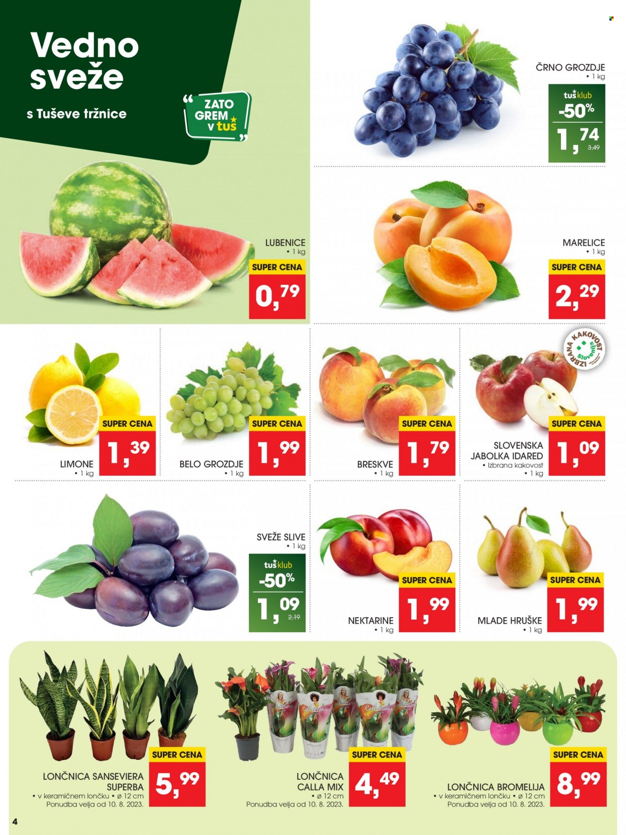 Tuš katalog - 9.8.2023 - 16.8.2023. Stran 4