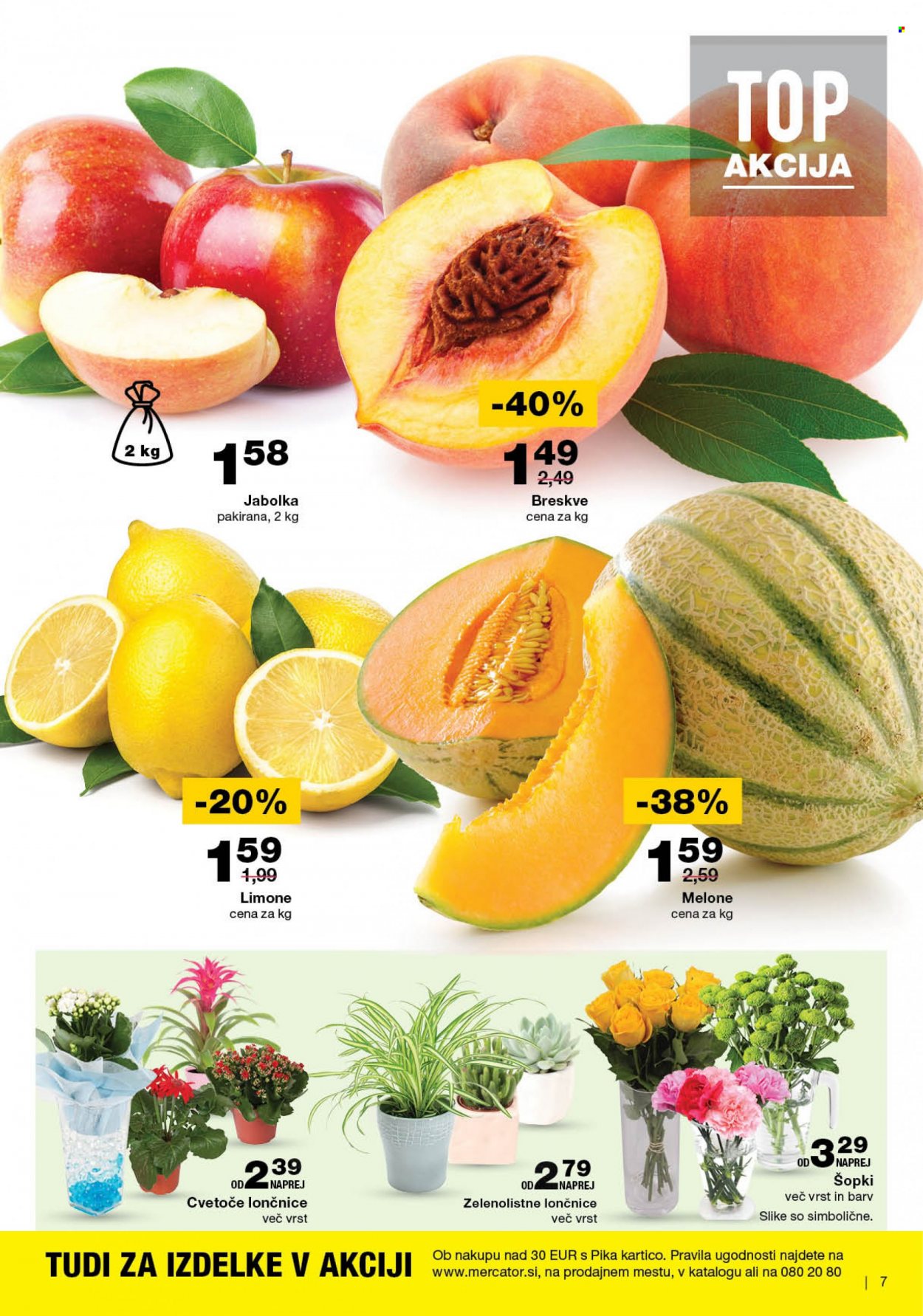 Mercator katalog - 10.8.2023 - 16.8.2023. Stran 7