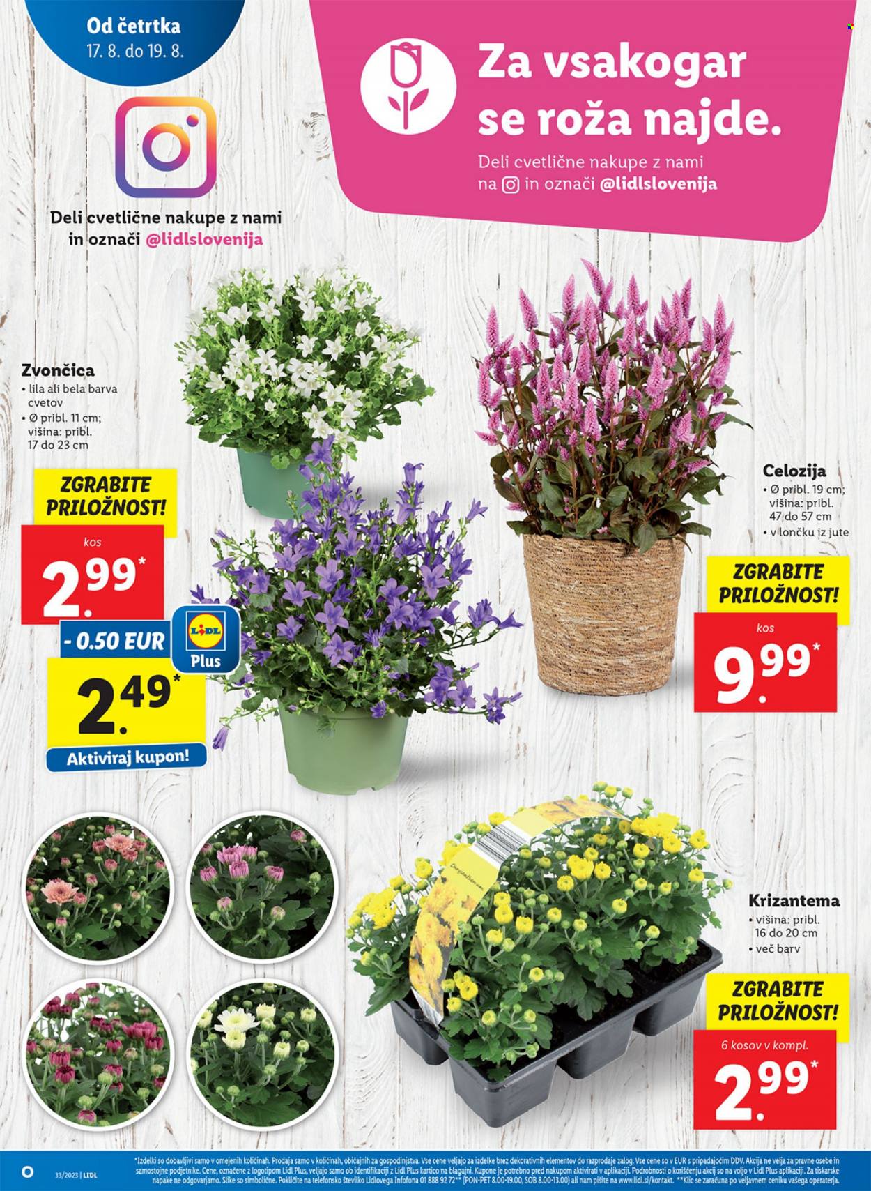 Lidl katalog - 17.8.2023 - 23.8.2023. Stran 16