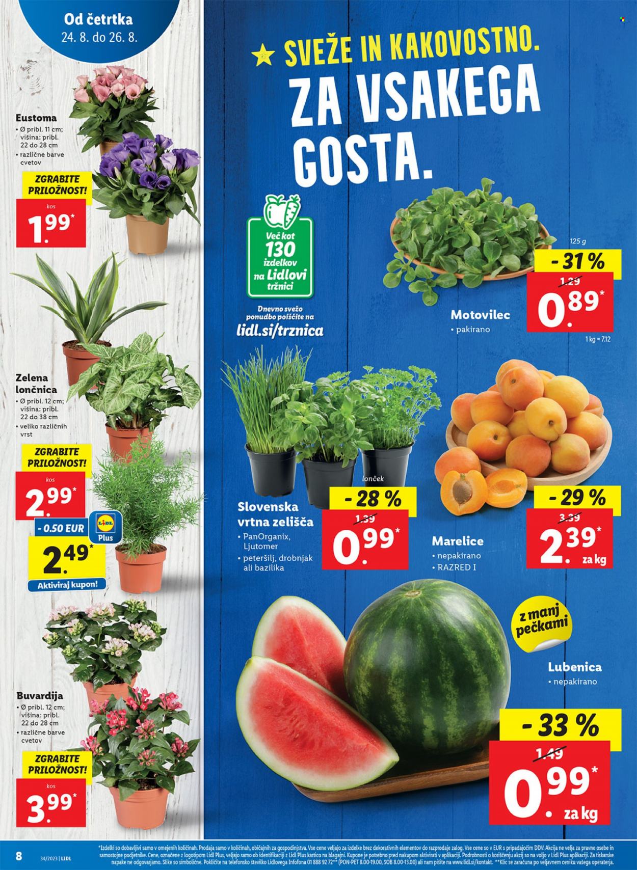 Lidl katalog - 24.8.2023 - 30.8.2023. Stran 12