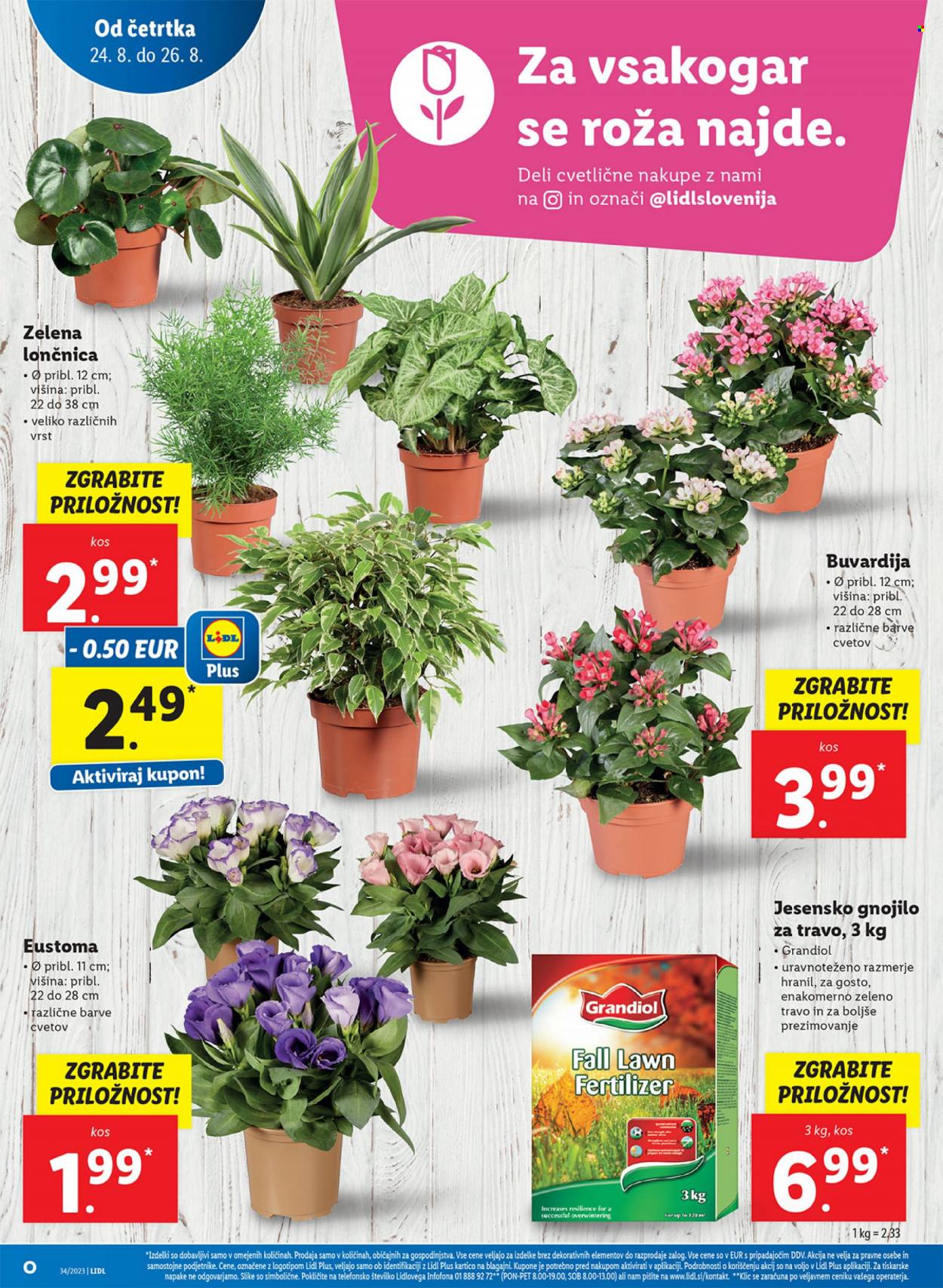 Lidl katalog - 24.8.2023 - 30.8.2023. Stran 18