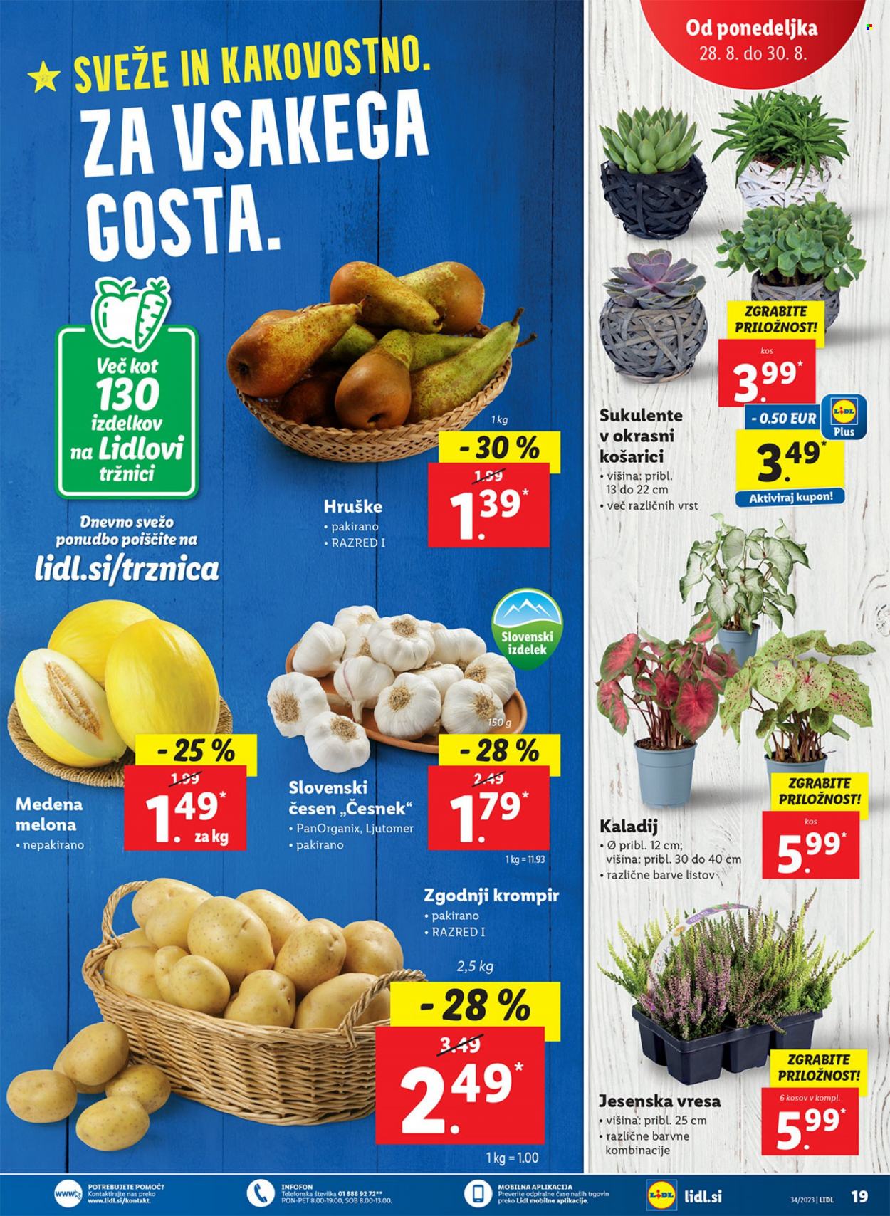 Lidl katalog - 24.8.2023 - 30.8.2023. Stran 37