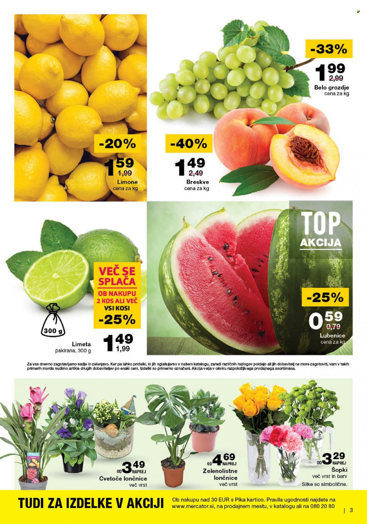 Mercator katalog - 24.8.2023 - 30.8.2023. Stran 3