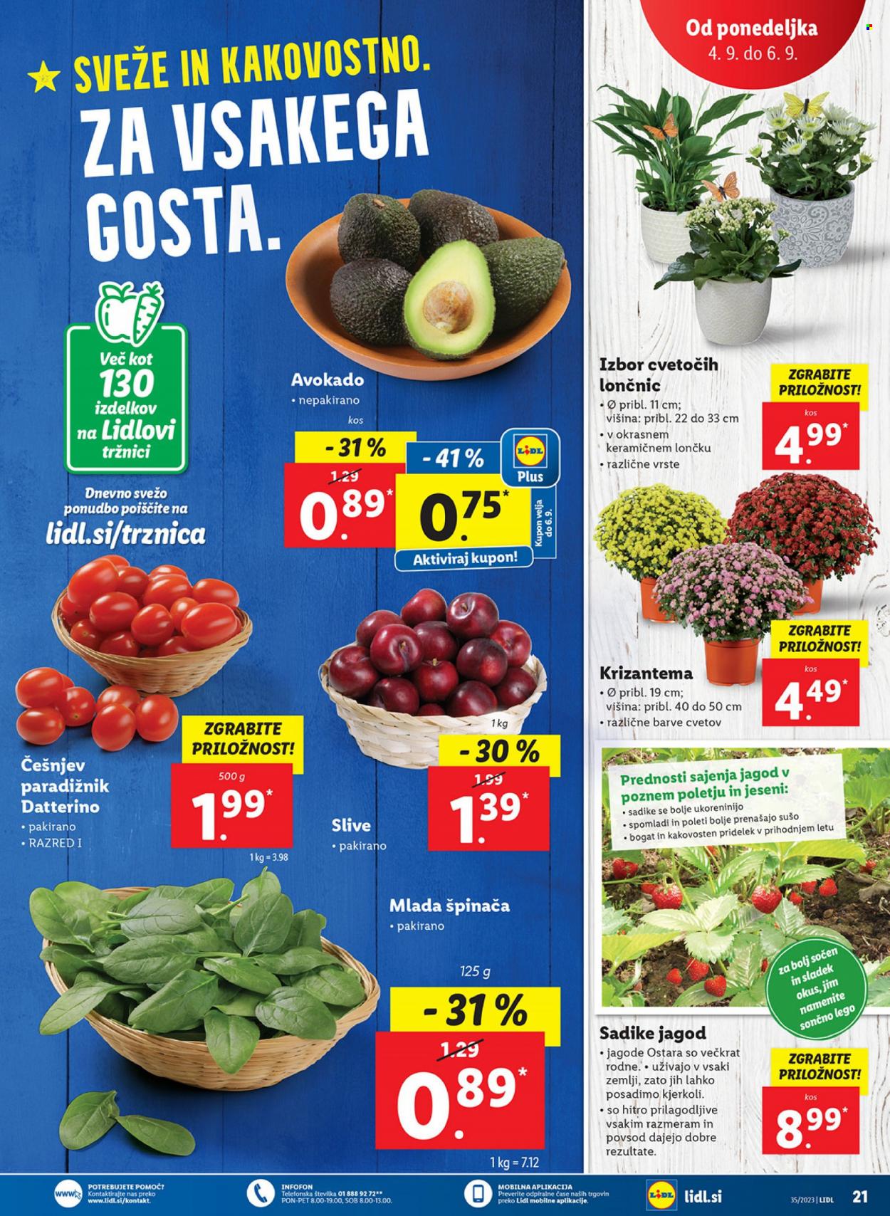 Lidl katalog - 31.8.2023 - 6.9.2023. Stran 33