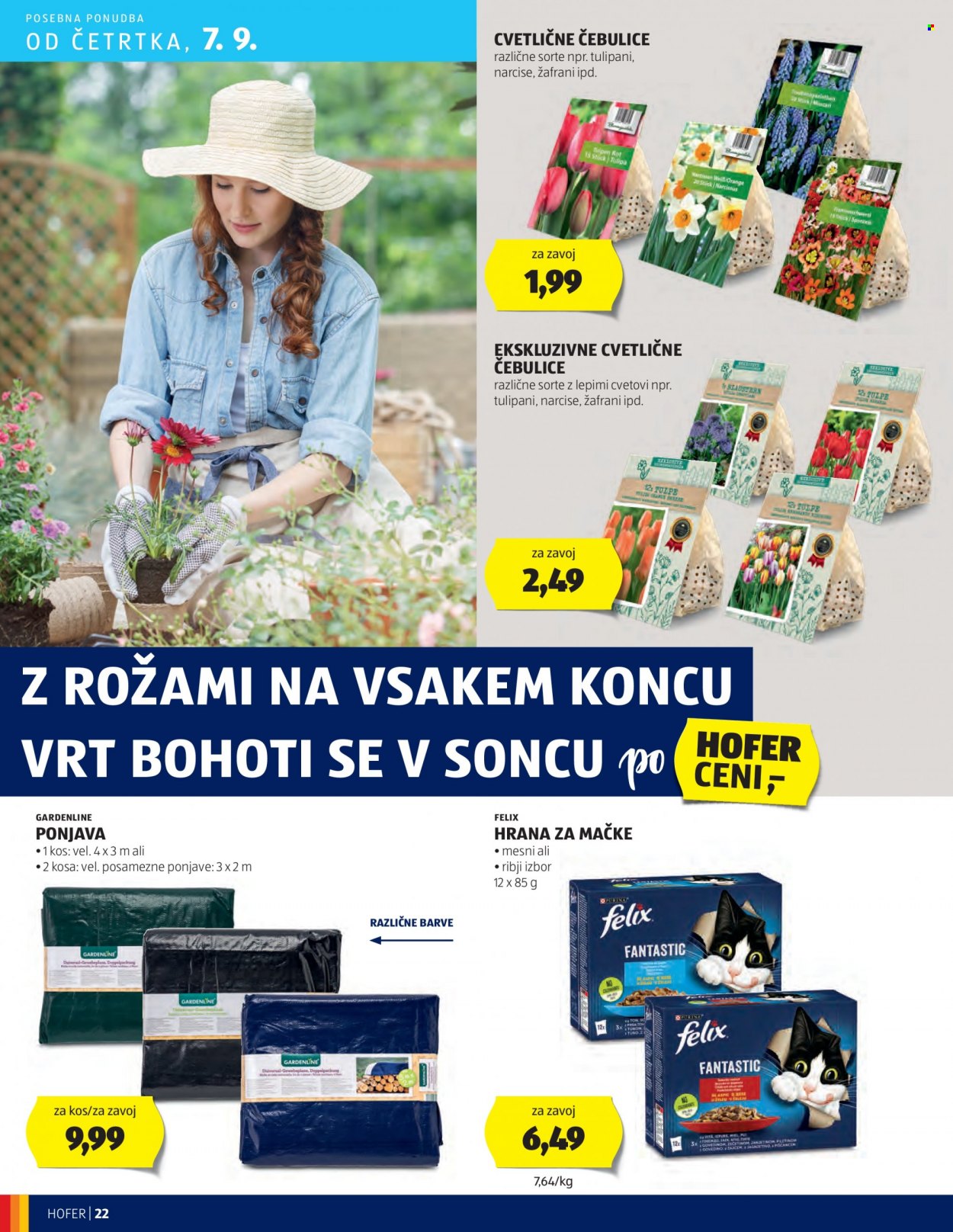 Hofer katalog - 31.8.2023 - 9.9.2023. Stran 22